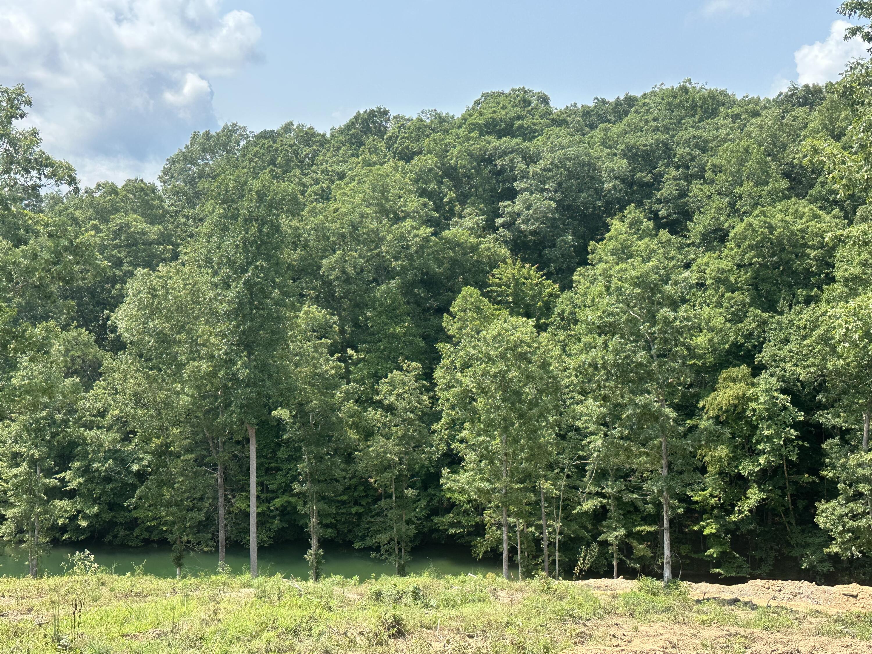 1201 Sleepy Hollow Road Lot 28/29 Property Photo 18