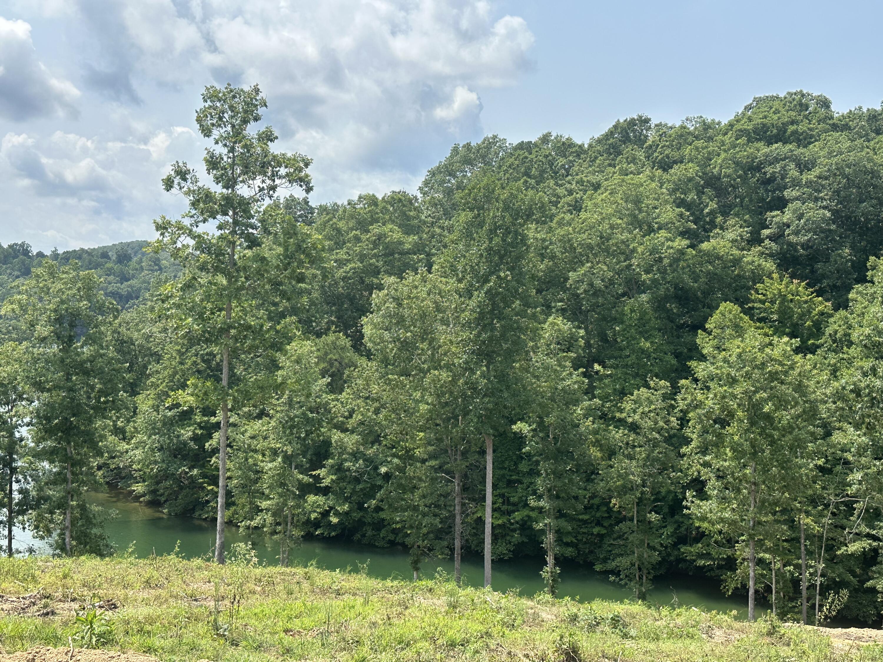 1201 Sleepy Hollow Road Lot 28/29 Property Photo 20