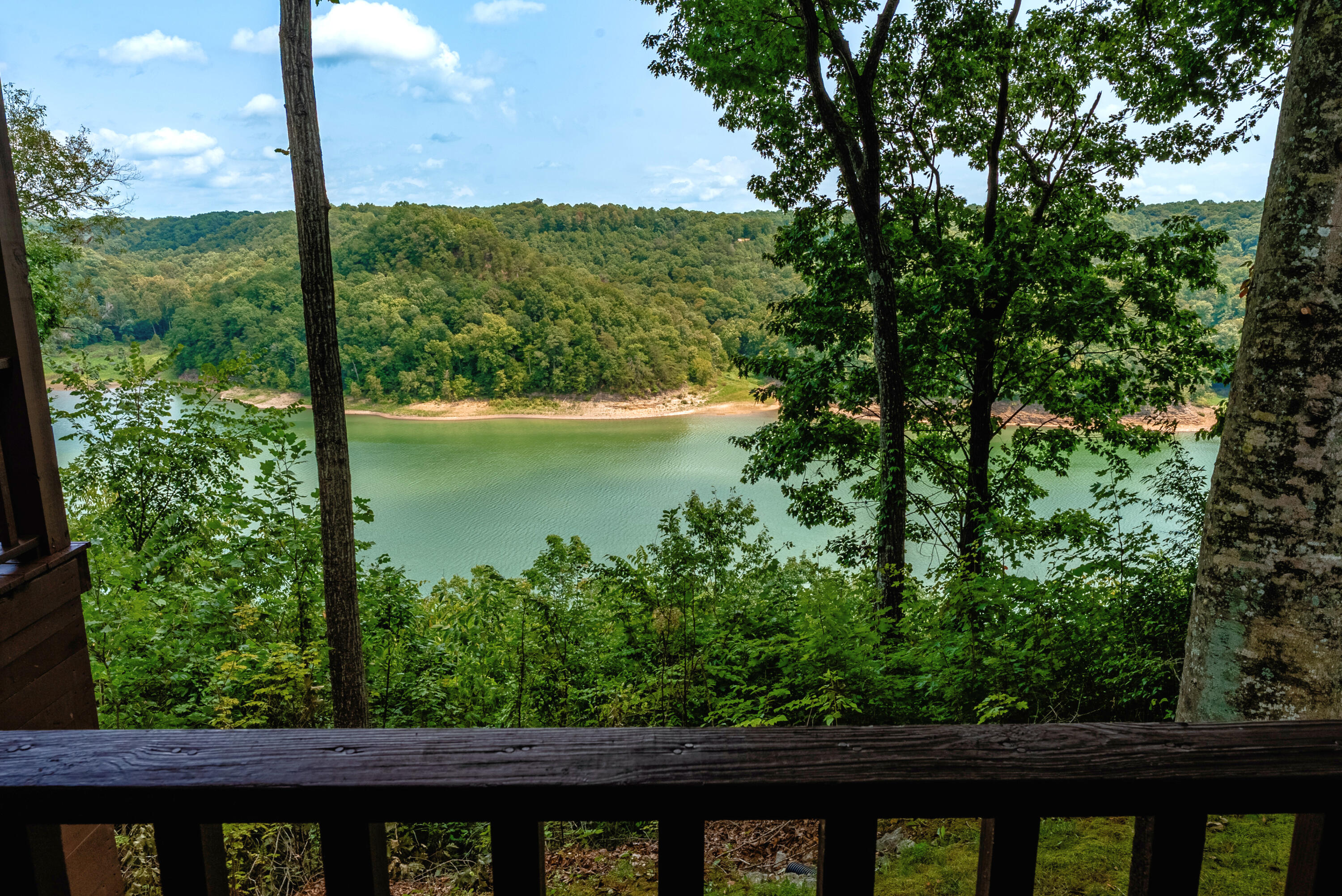 1355 Cliffside Drive Property Photo 17