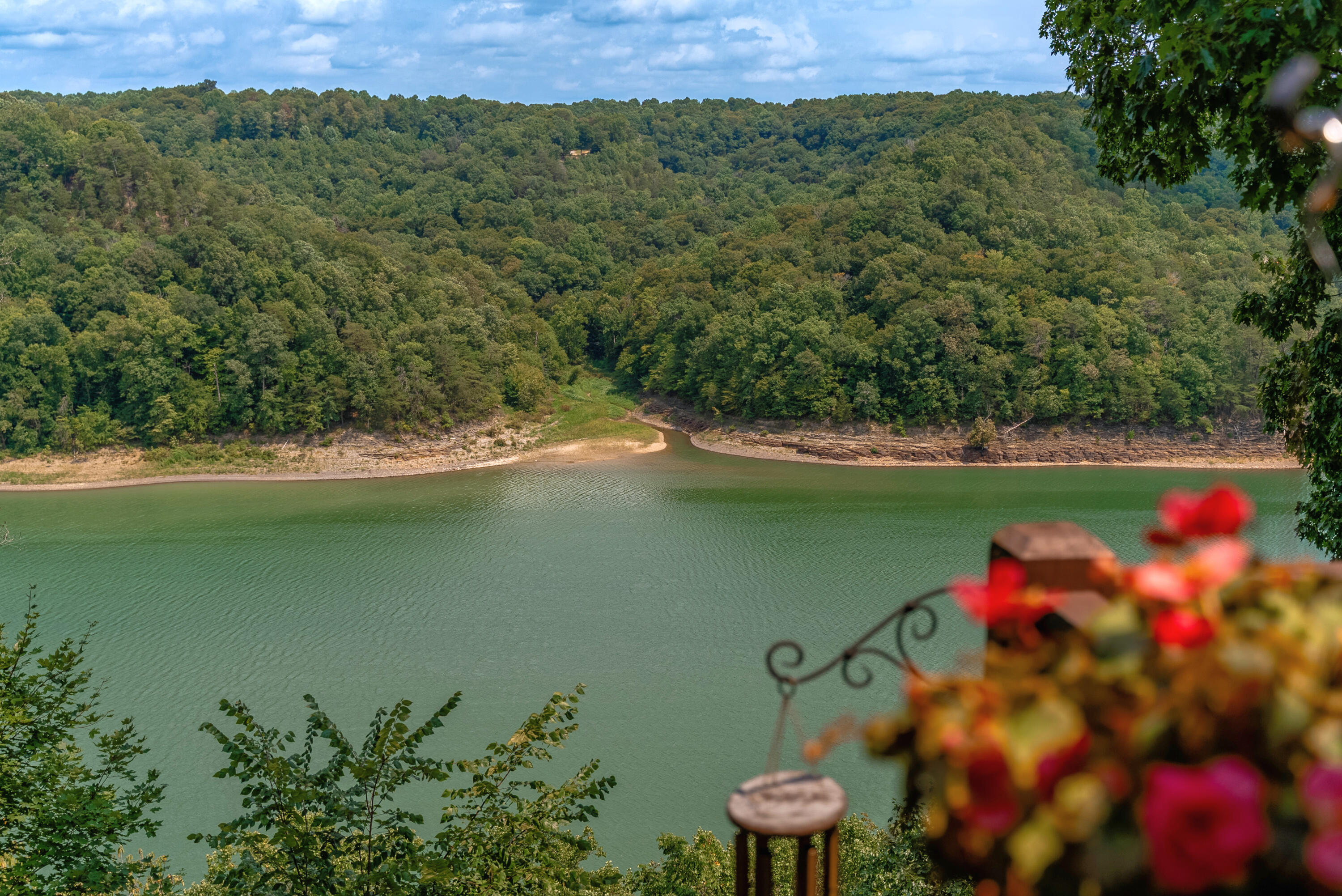1355 Cliffside Drive Property Photo 92