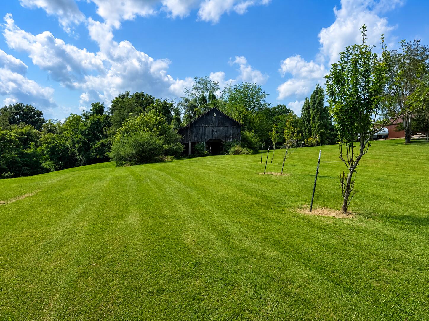 3181 Ky-52 Road Property Photo 30
