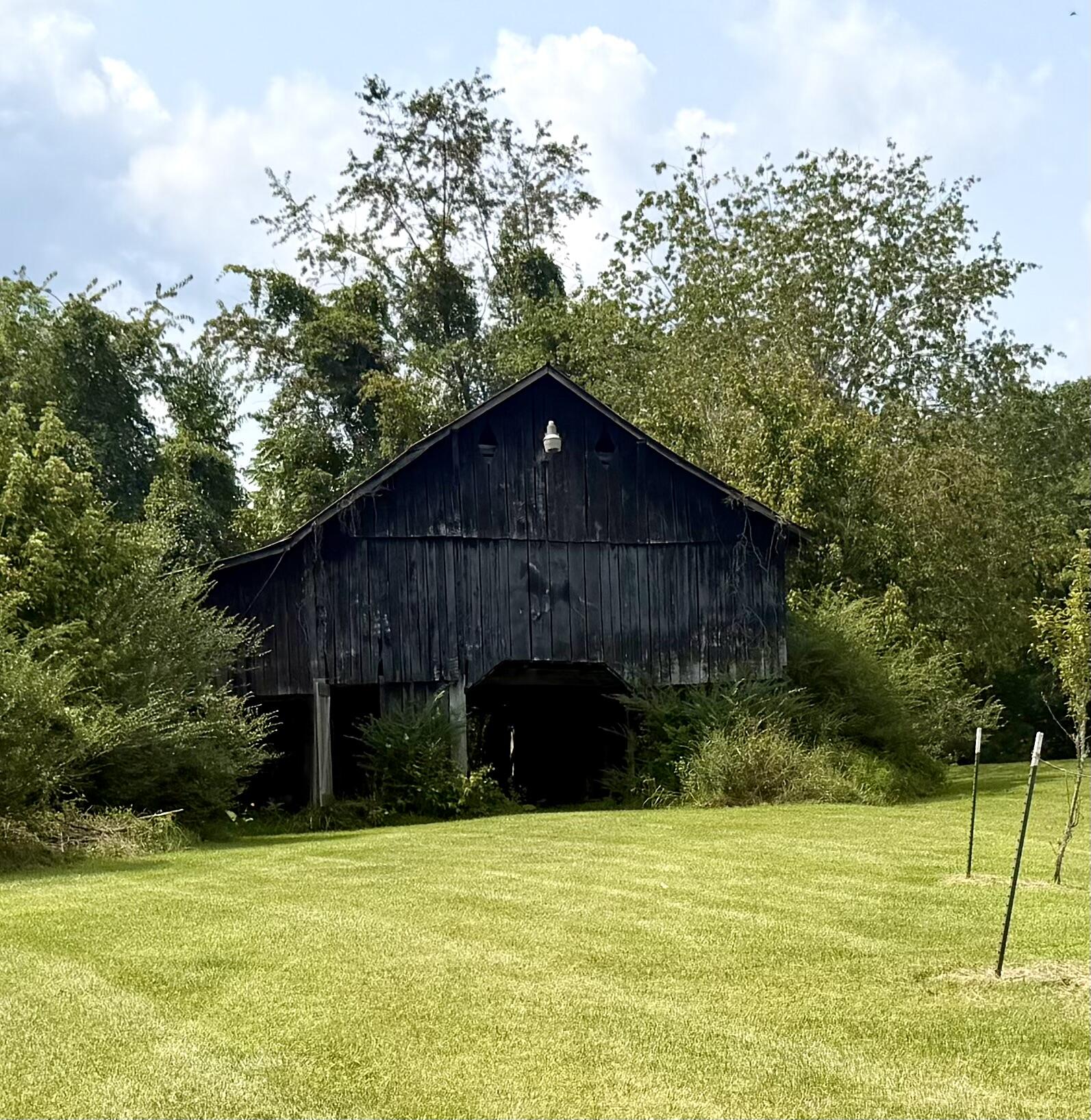 3181 Ky-52 Road Property Photo 35
