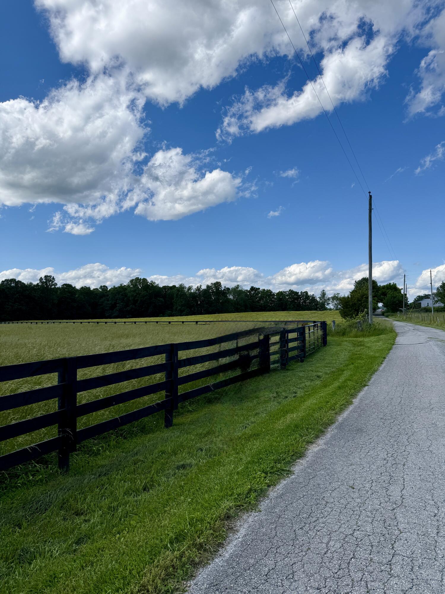 60 Acres Flatwoods Road Property Photo 37