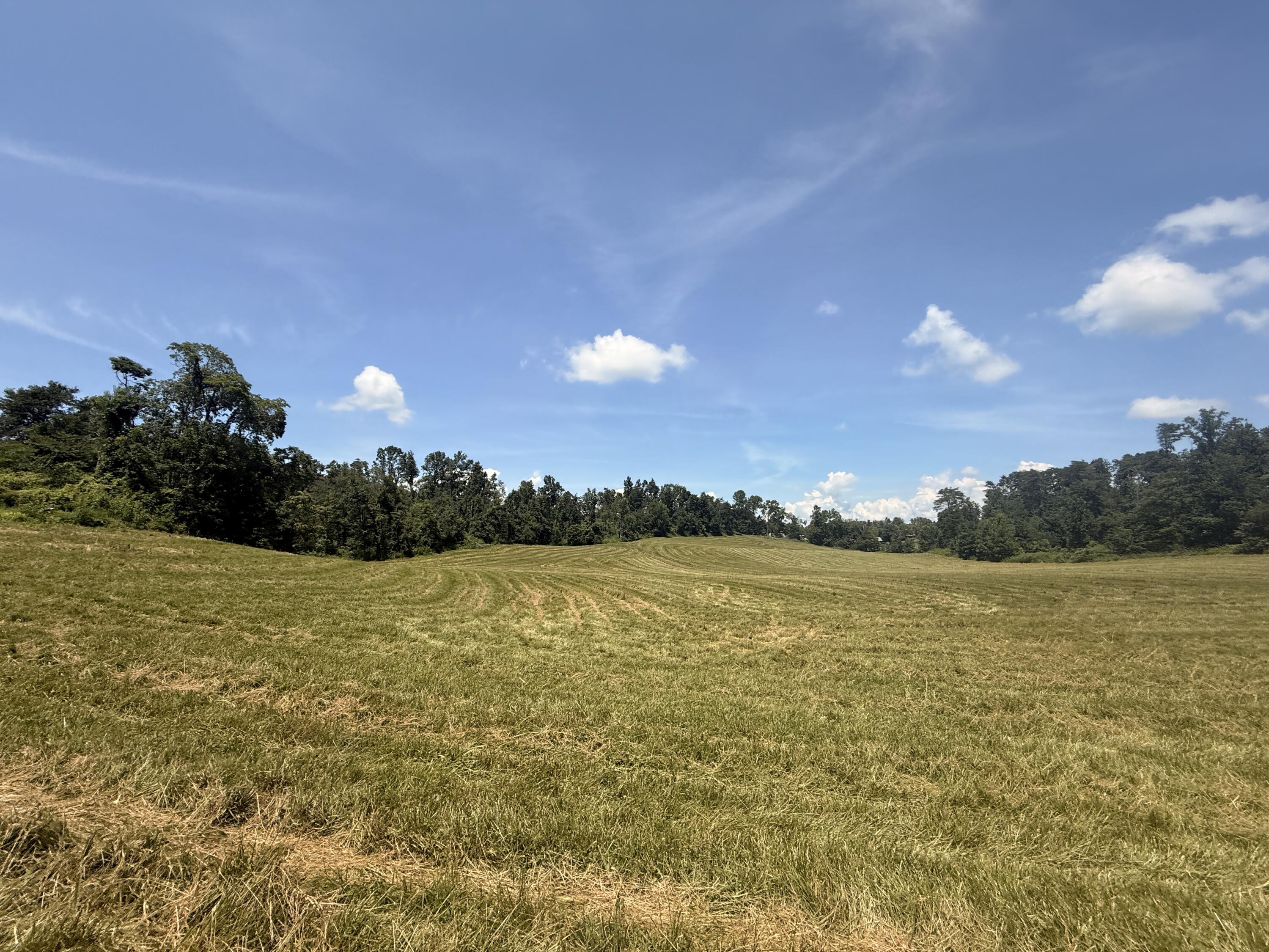 21 Acres Dug Road Property Photo 7