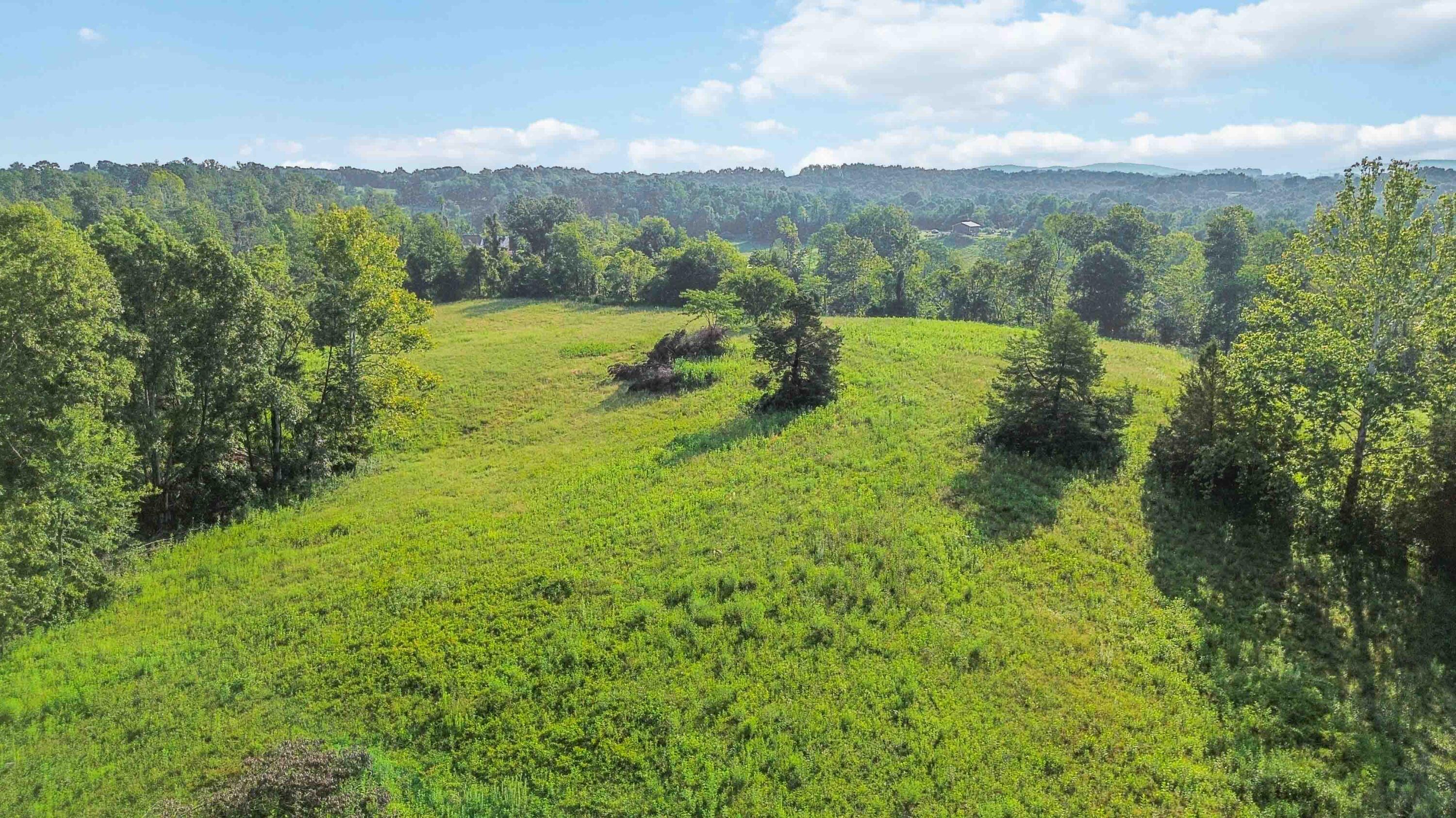 41 Acres Dug Road Property Photo 5