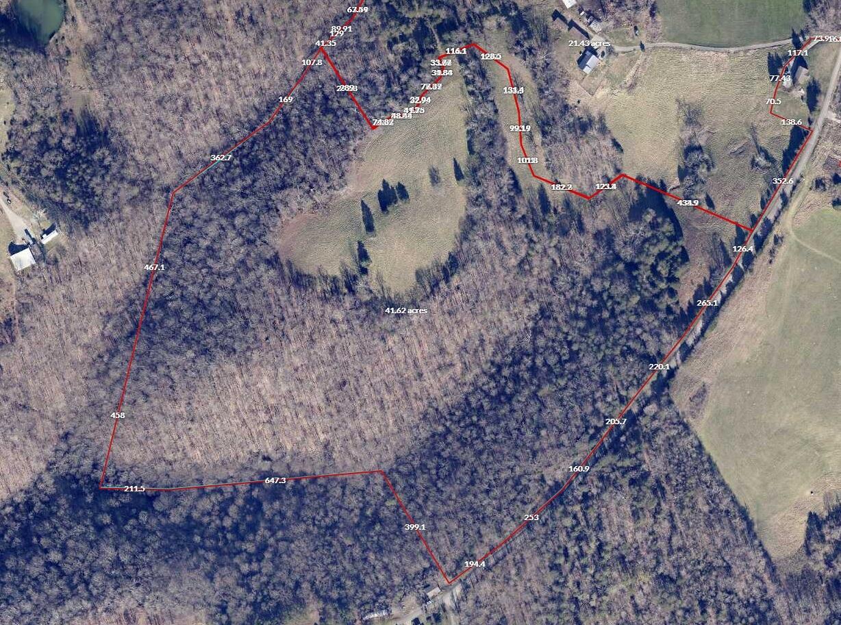 41 Acres Dug Road Property Photo 6