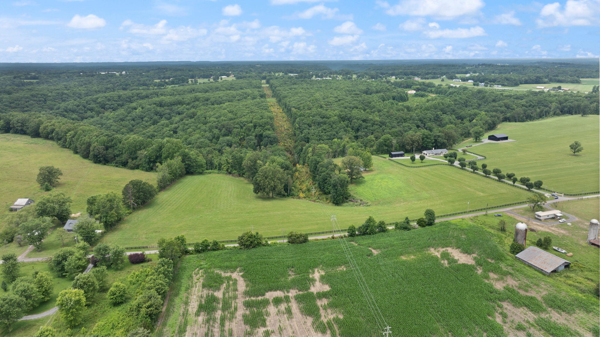 20 Acres Flatwoods Road Property Photo 7