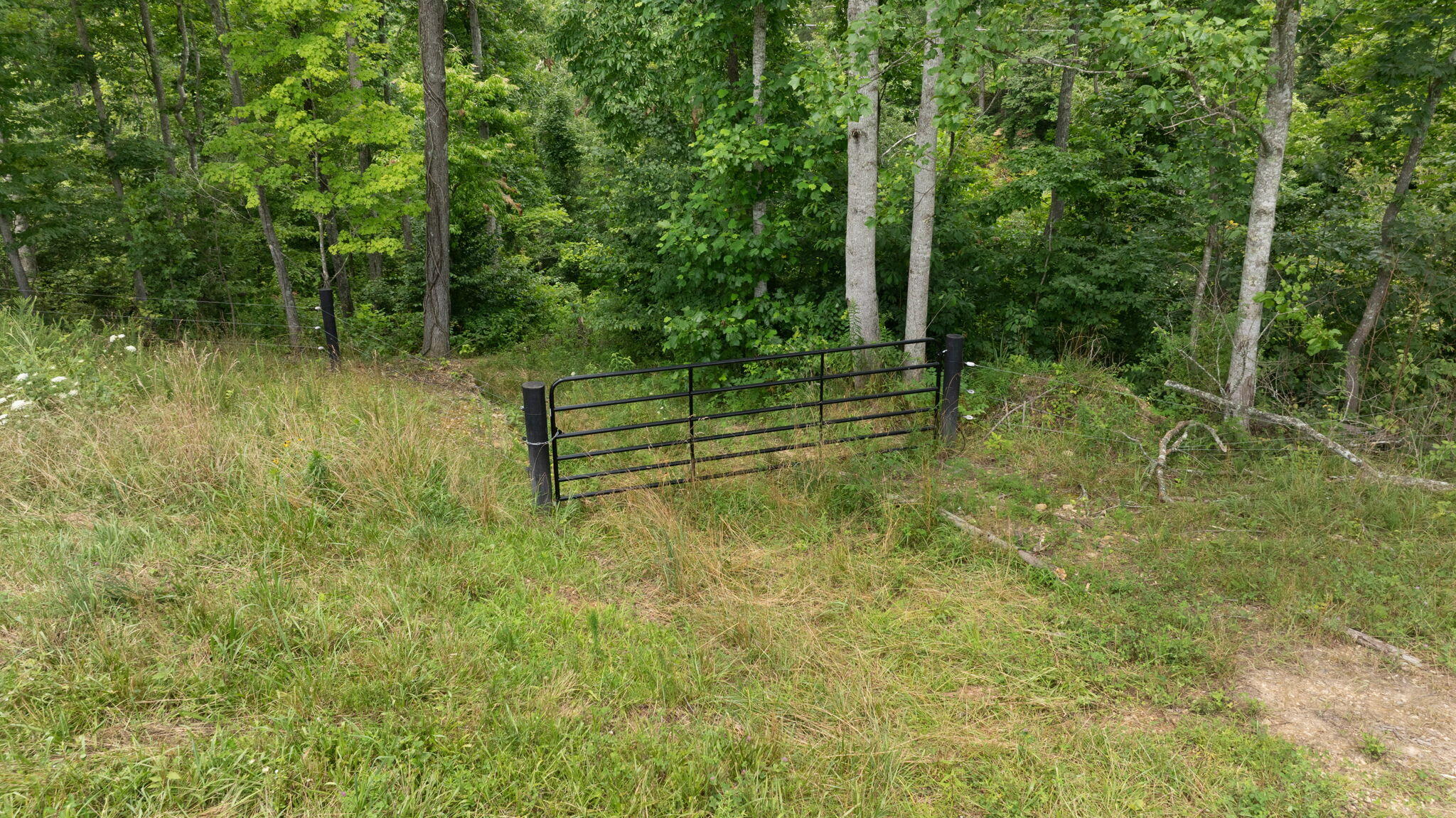 20 Acres Flatwoods Road Property Photo 15