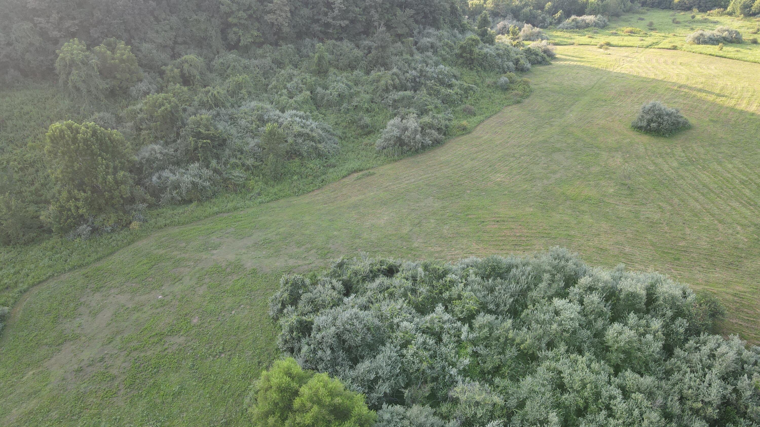 3073 Long Creek Road Property Photo 5