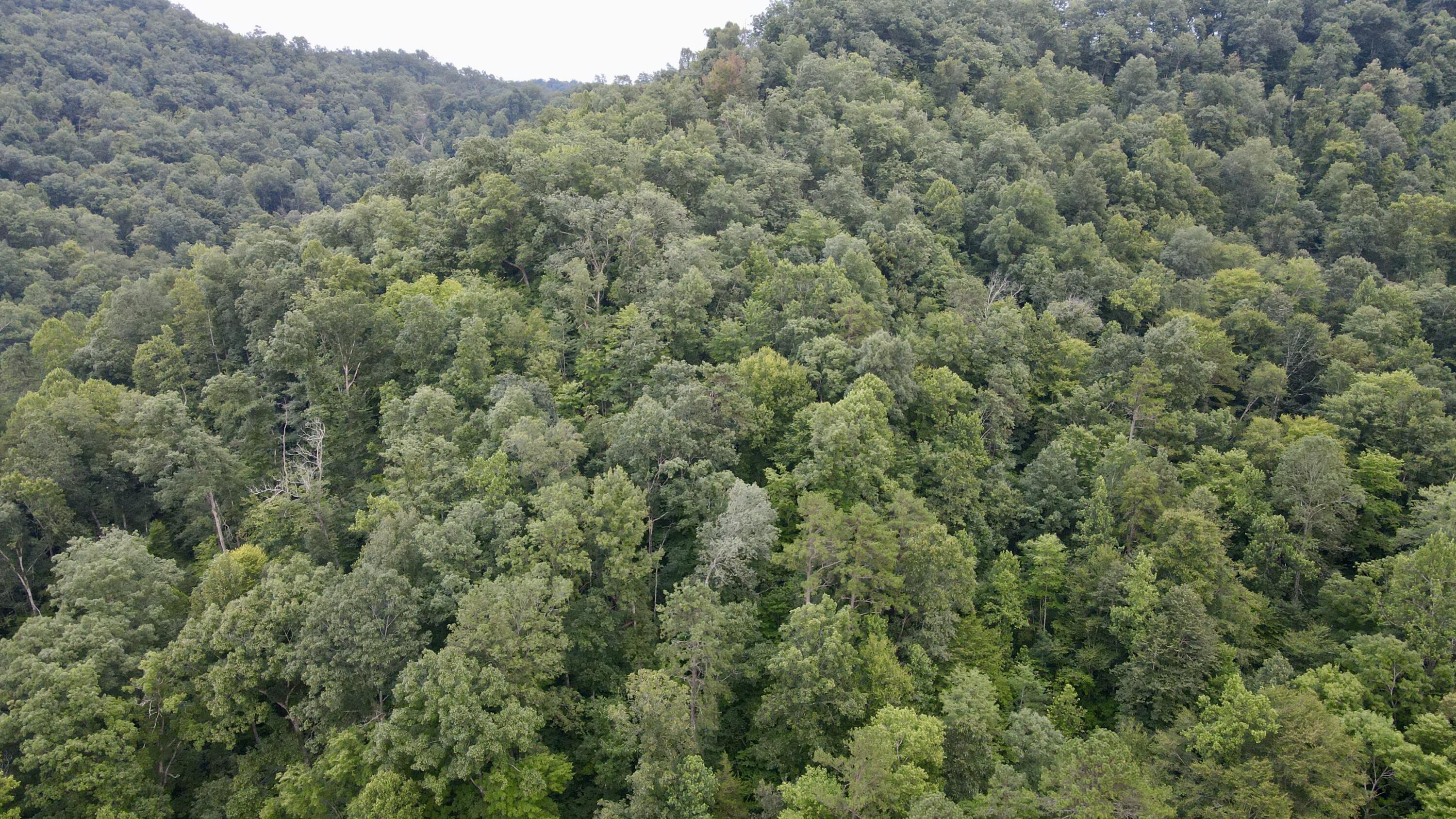 3073 Long Creek Road Property Photo 8