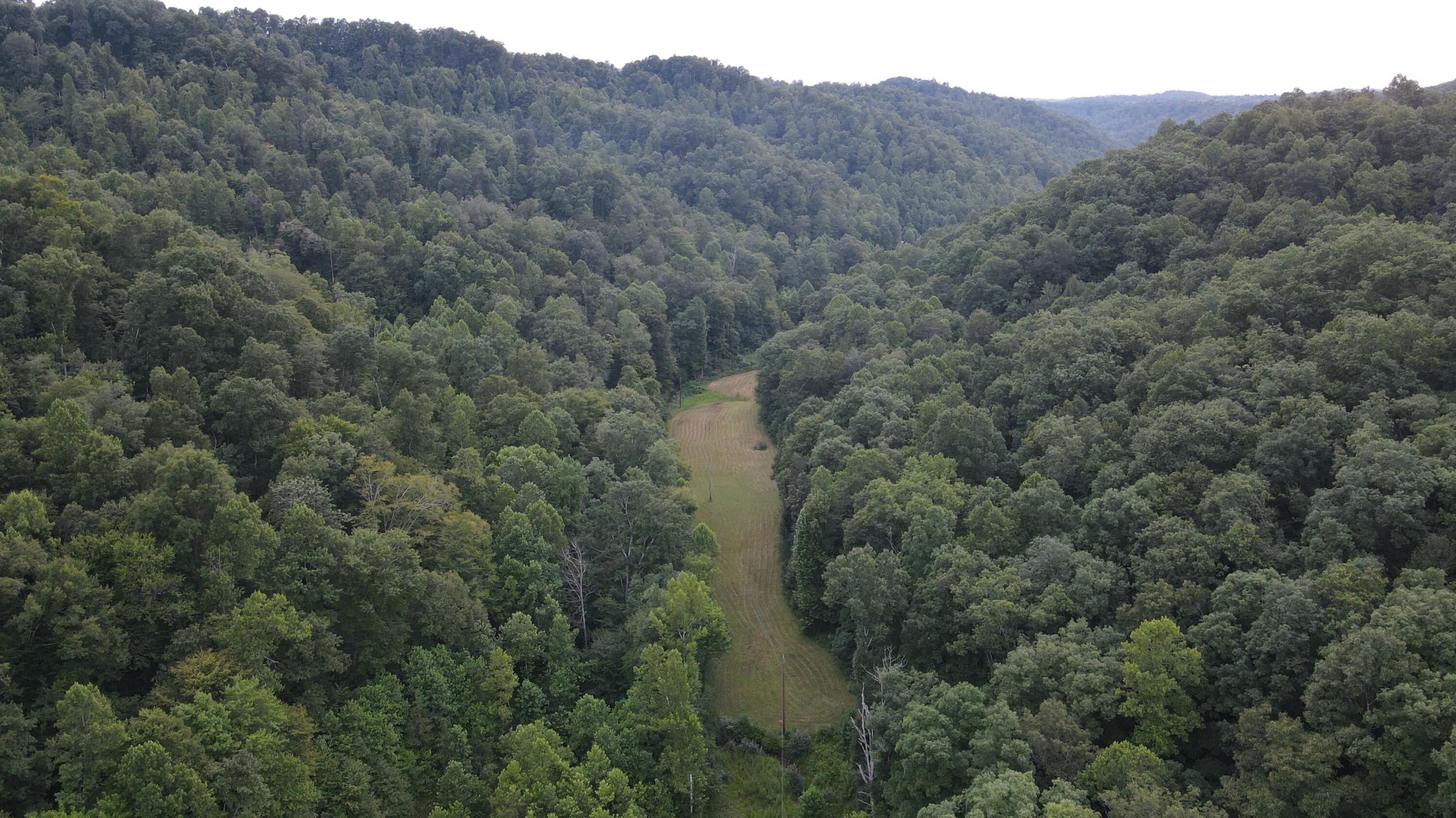 3073 Long Creek Road Property Photo 9
