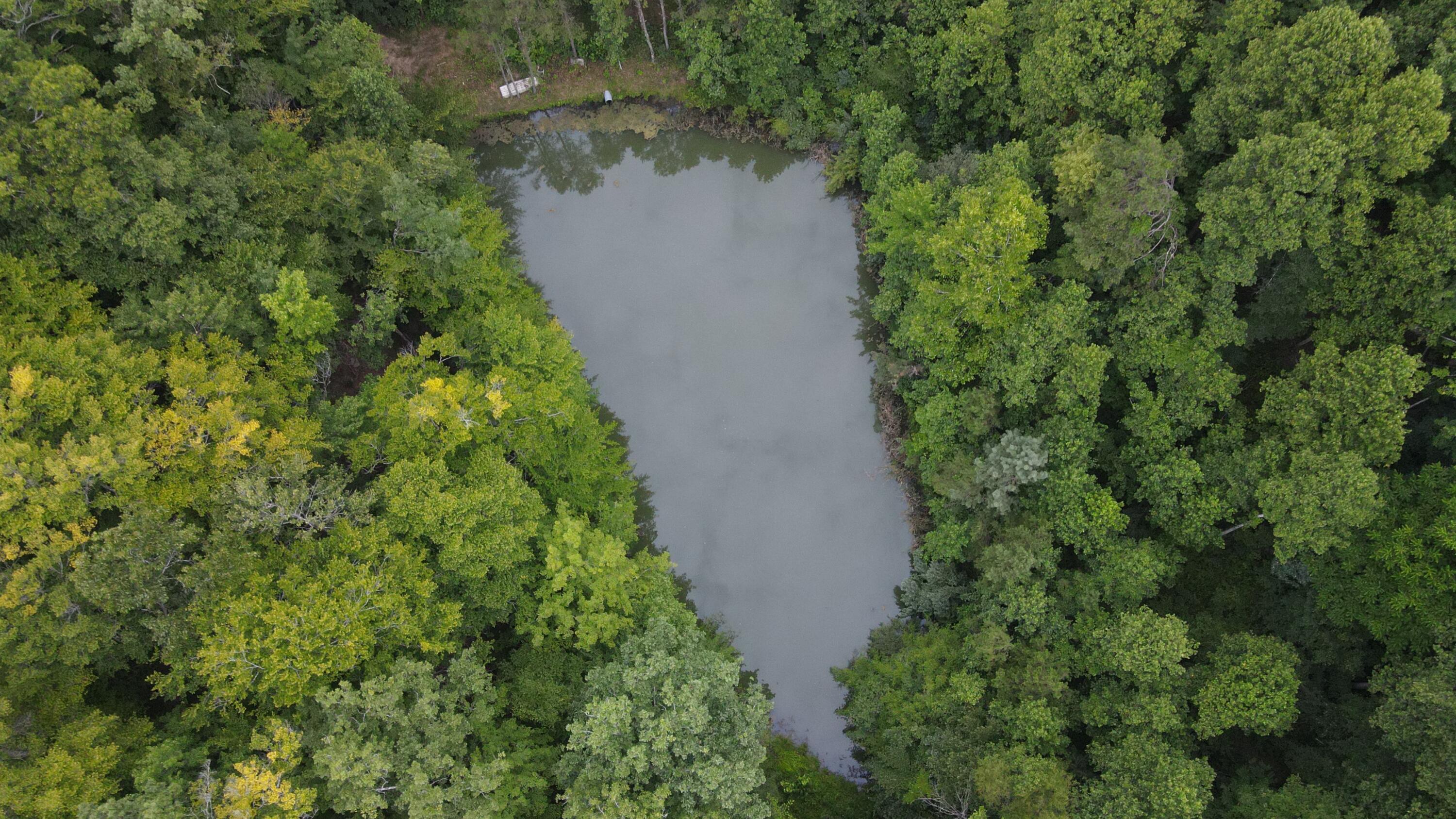 3073 Long Creek Road Property Photo 10