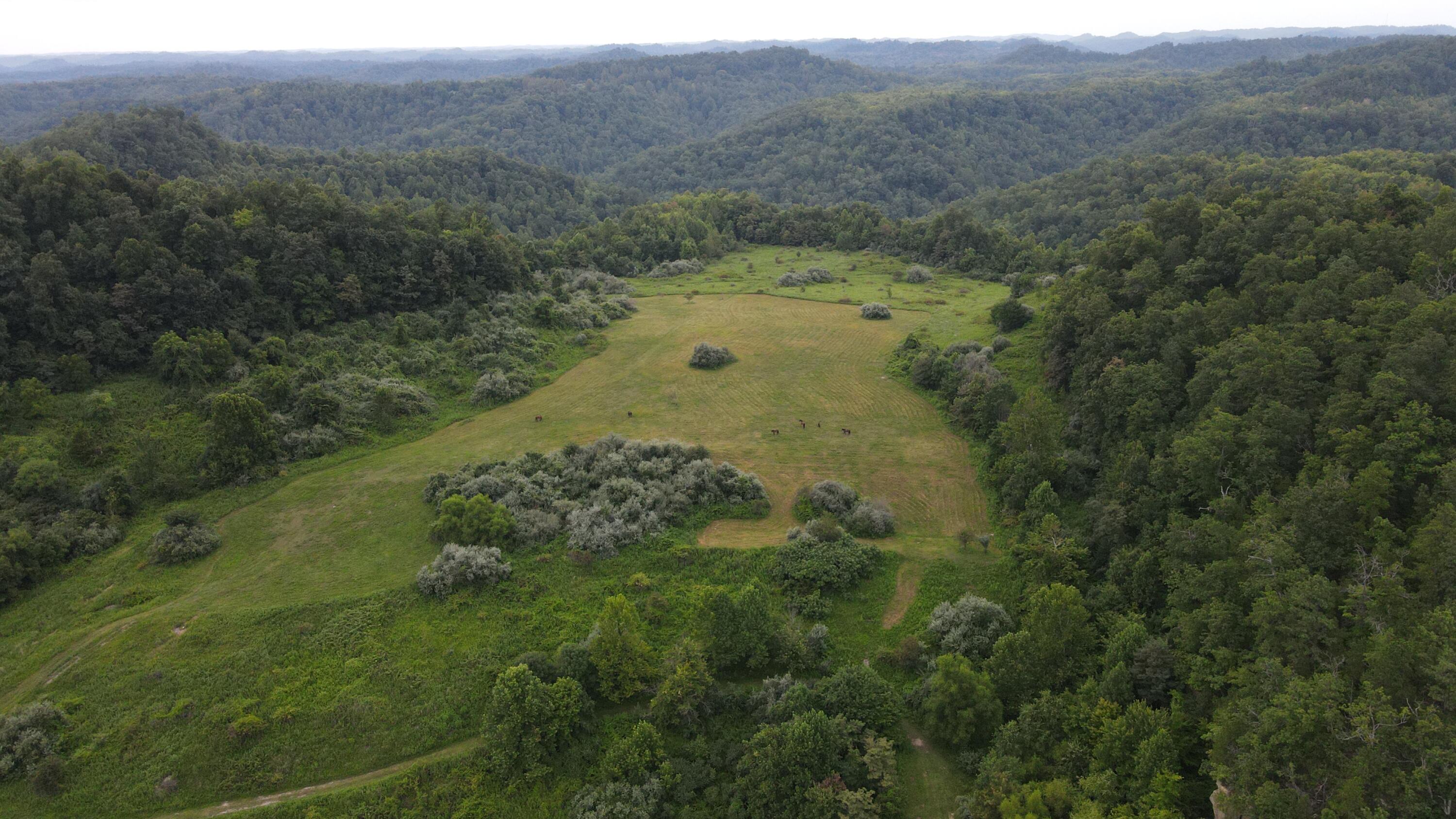 3073 Long Creek Road Property Photo 13