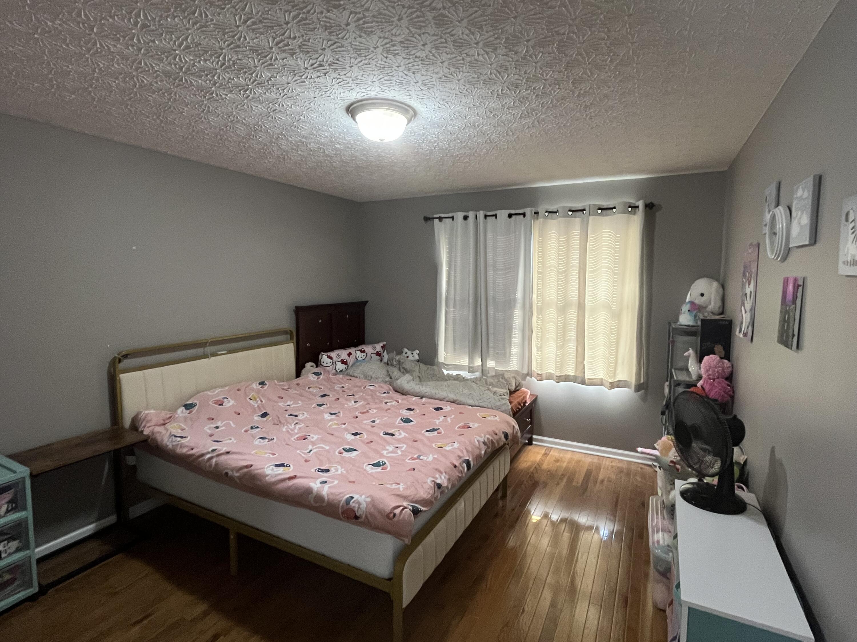 4217 Jasmine Rose Way Property Photo 16