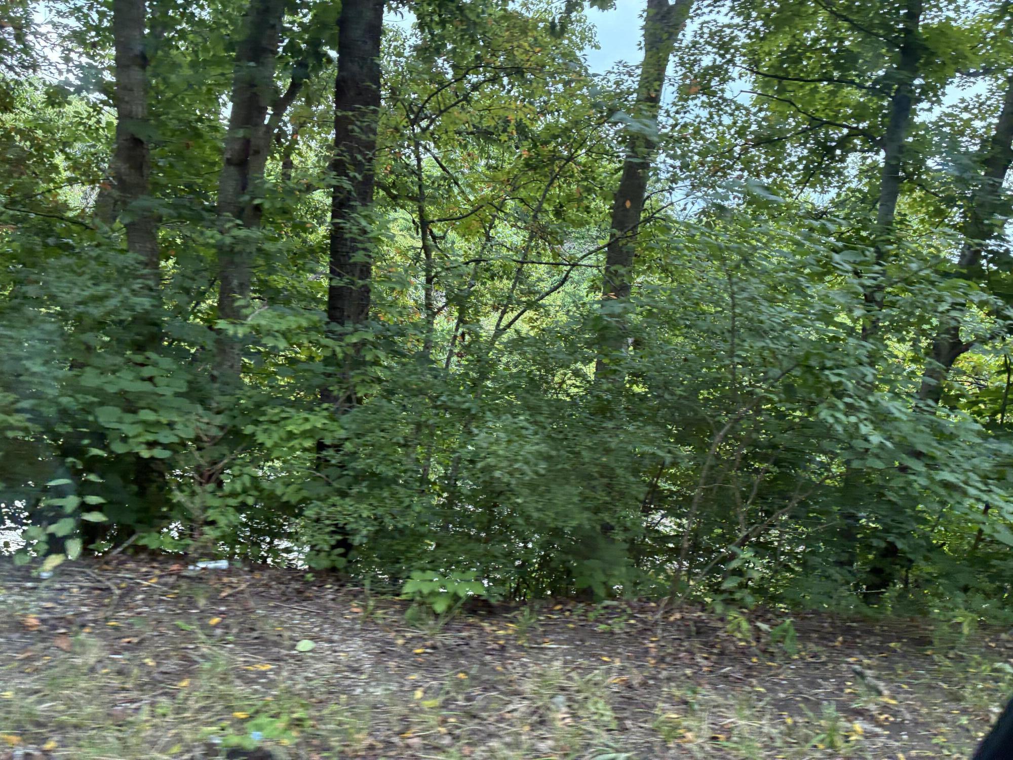 3198 Red House Road Property Photo 8