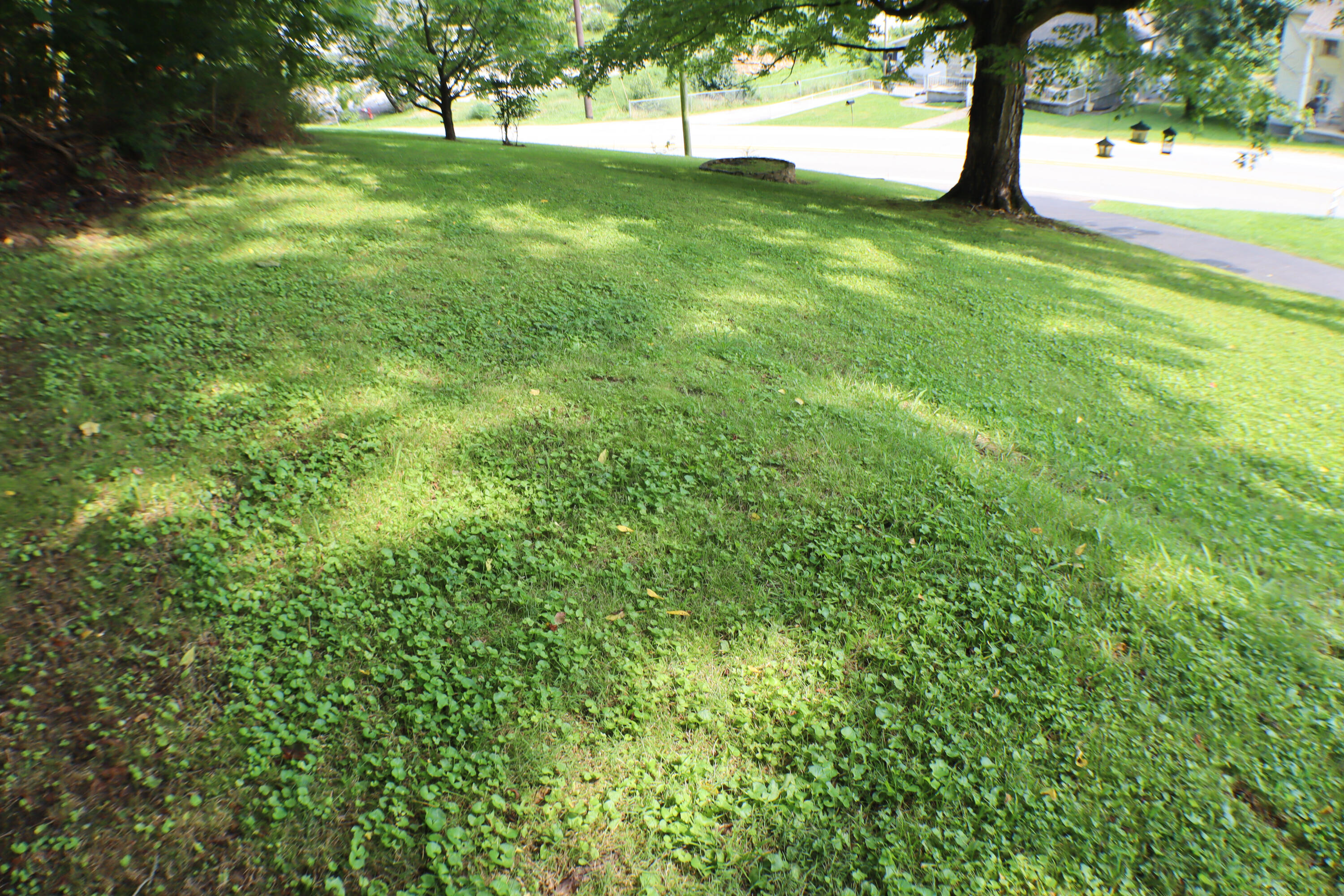 412 Main Street Property Photo 35