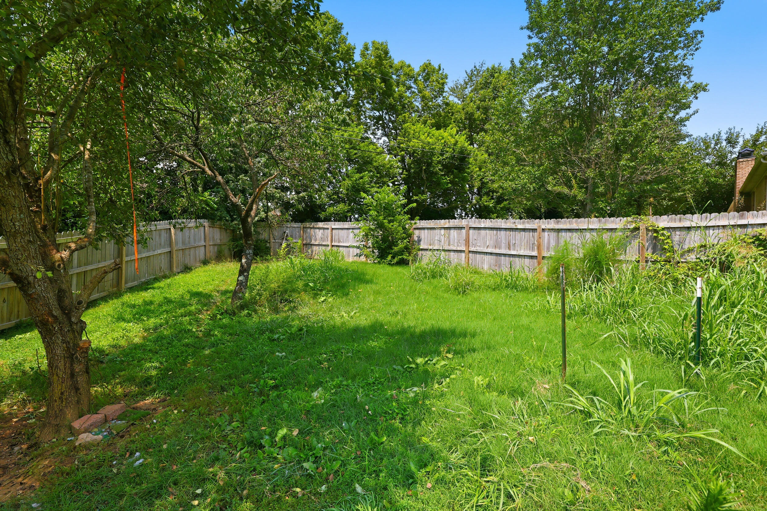 2218 Woodford Drive Property Photo 37