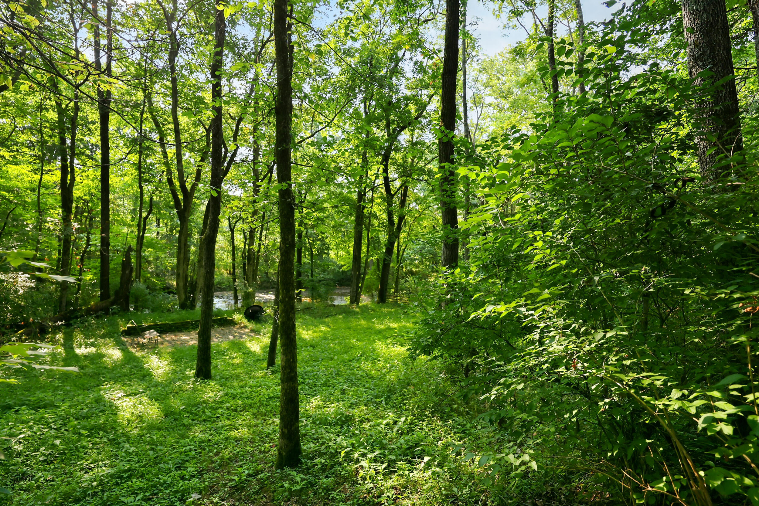 9126 Troy Pike Property Photo 77