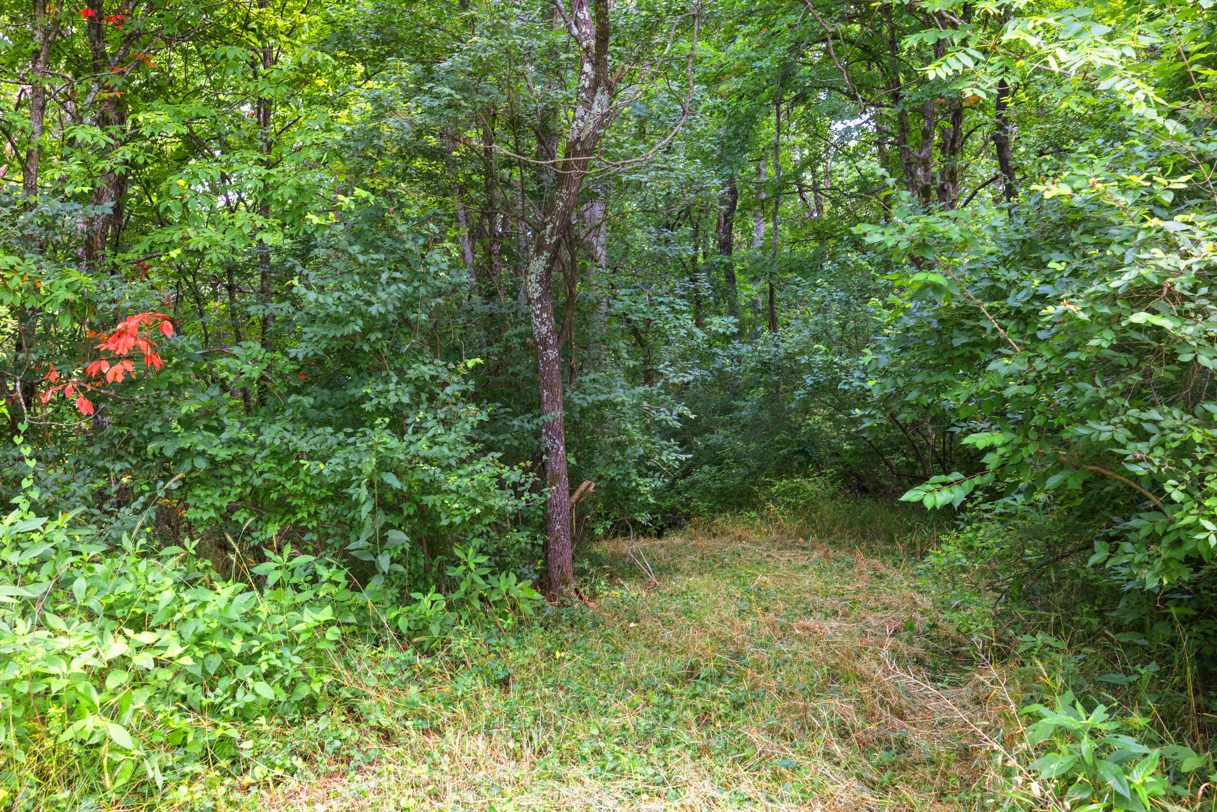 9126 Troy Pike Property Photo 78