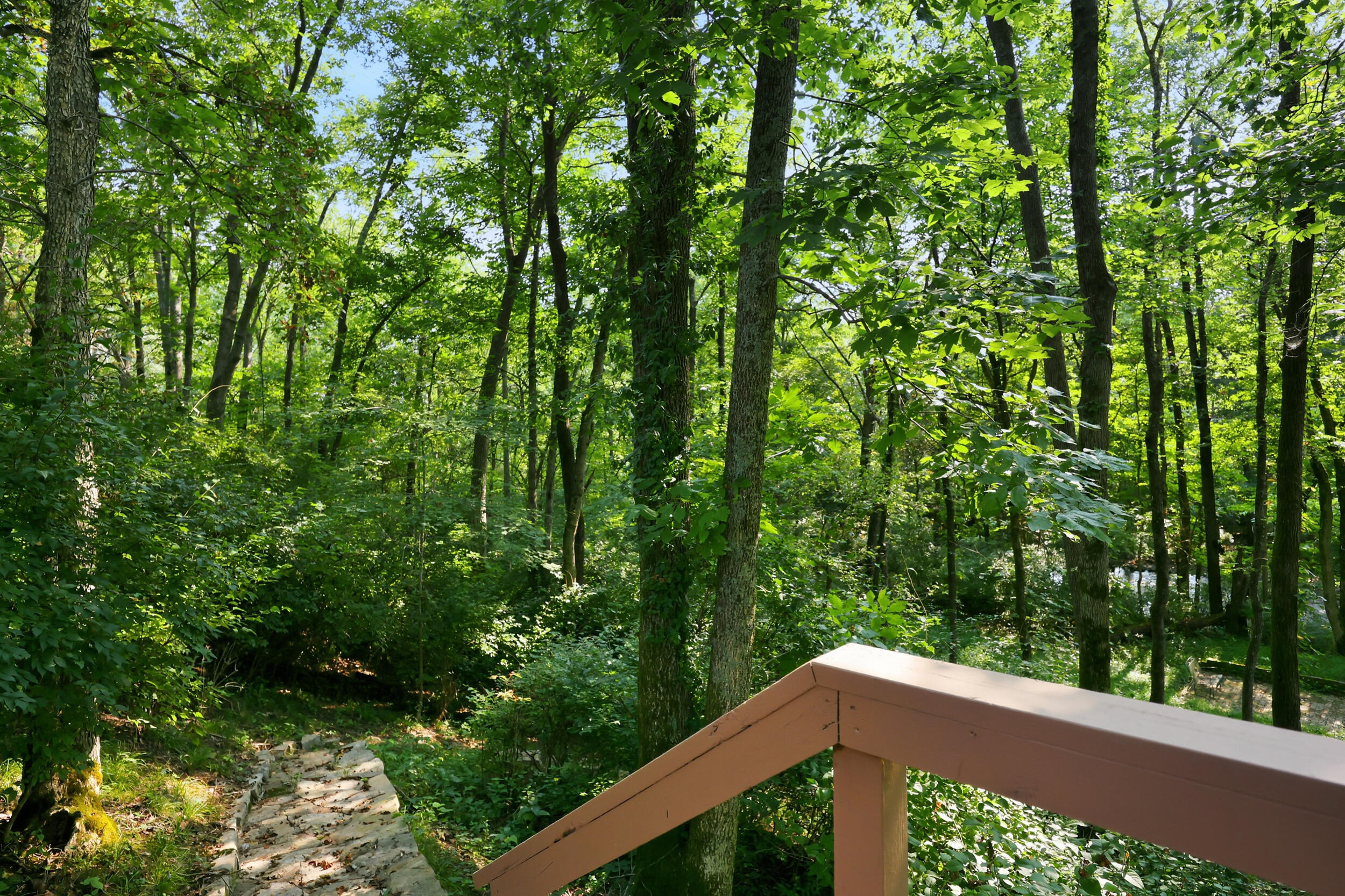 9126 Troy Pike Property Photo 80