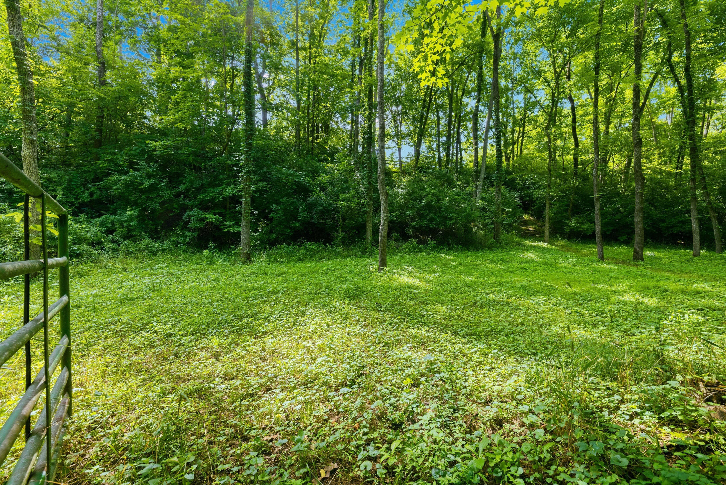 9126 Troy Pike Property Photo 35