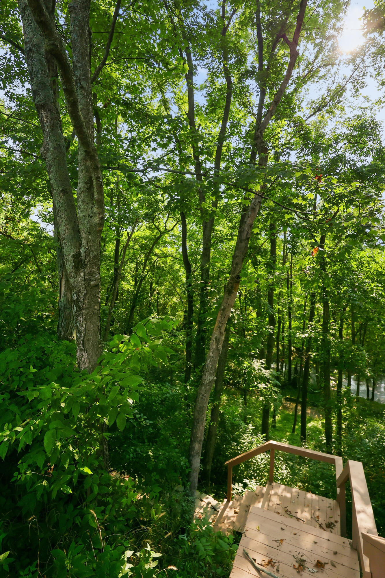 9126 Troy Pike Property Photo 37