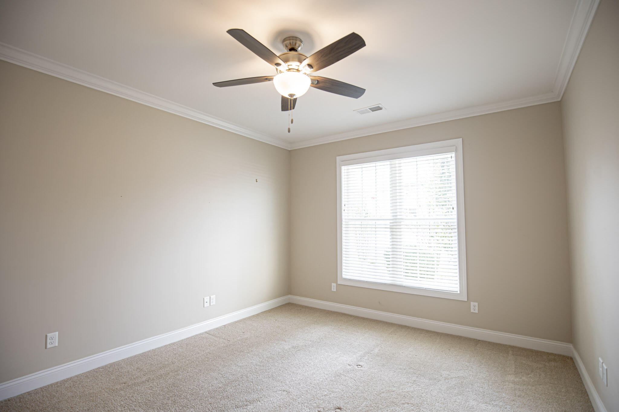 428 Villa Ridge Drive Property Photo 17