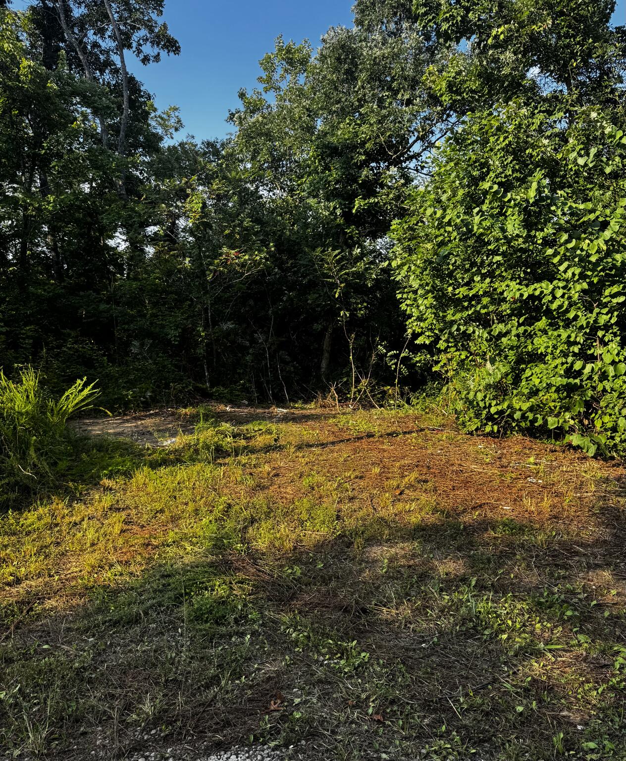 151 Walter Crabtree Road Property Photo 5