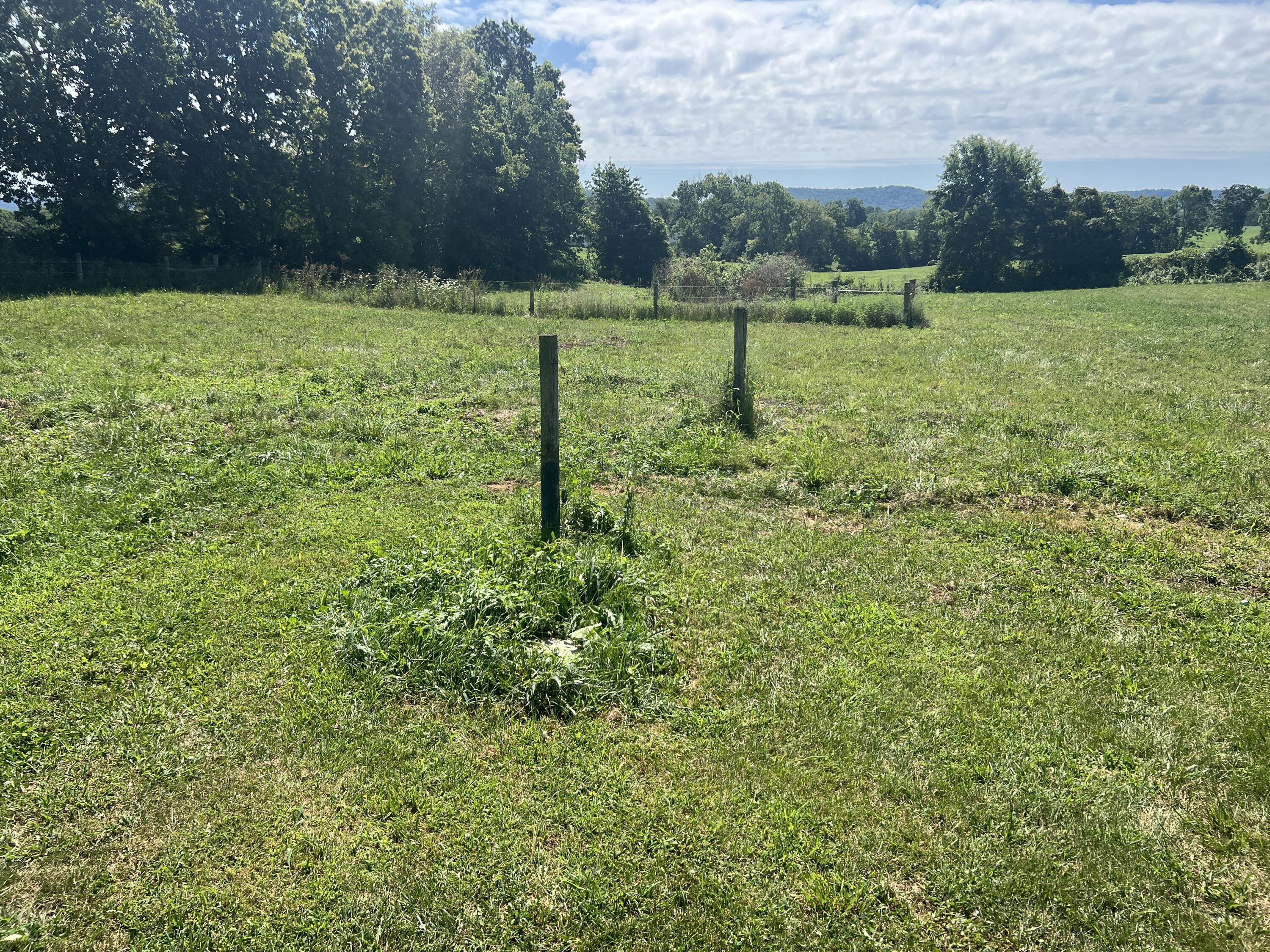 7580 Mount Carmel Road Property Photo 10