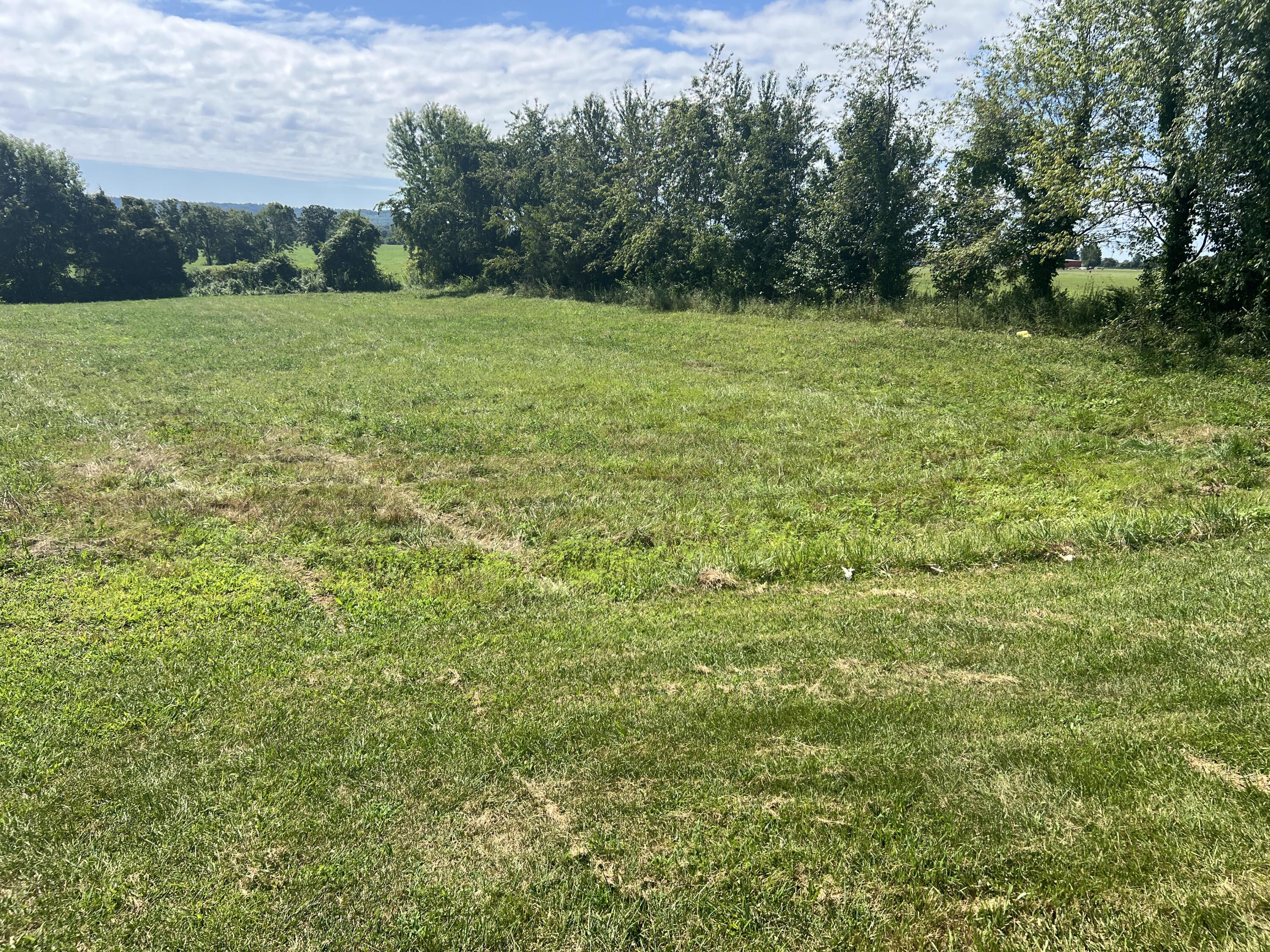7580 Mount Carmel Road Property Photo 11