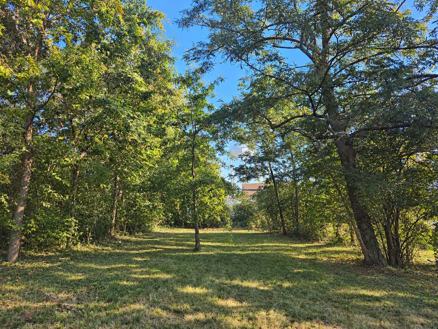 1303 E Main Street Property Photo 12