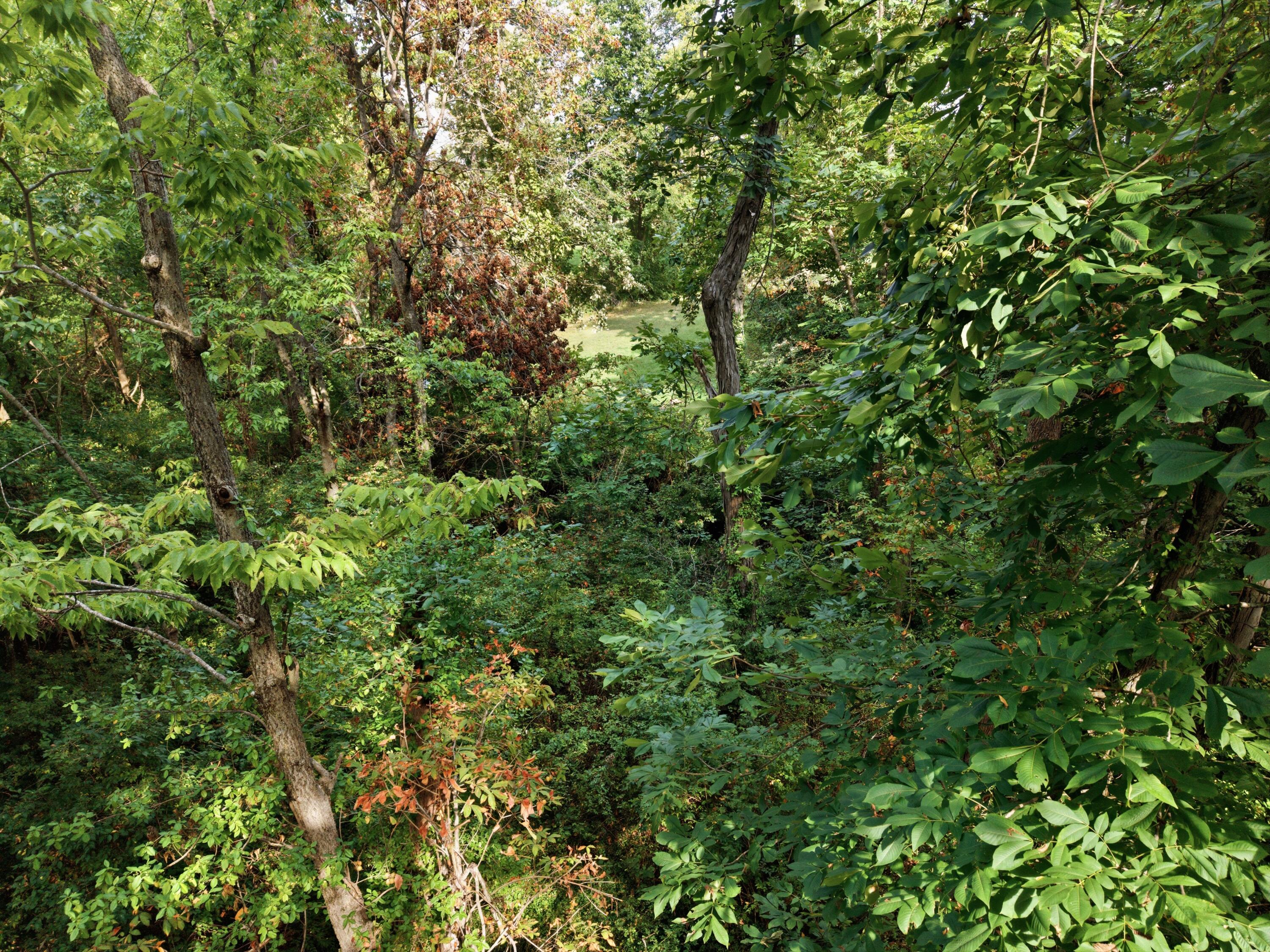 149 Mercer Avenue Property Photo 42