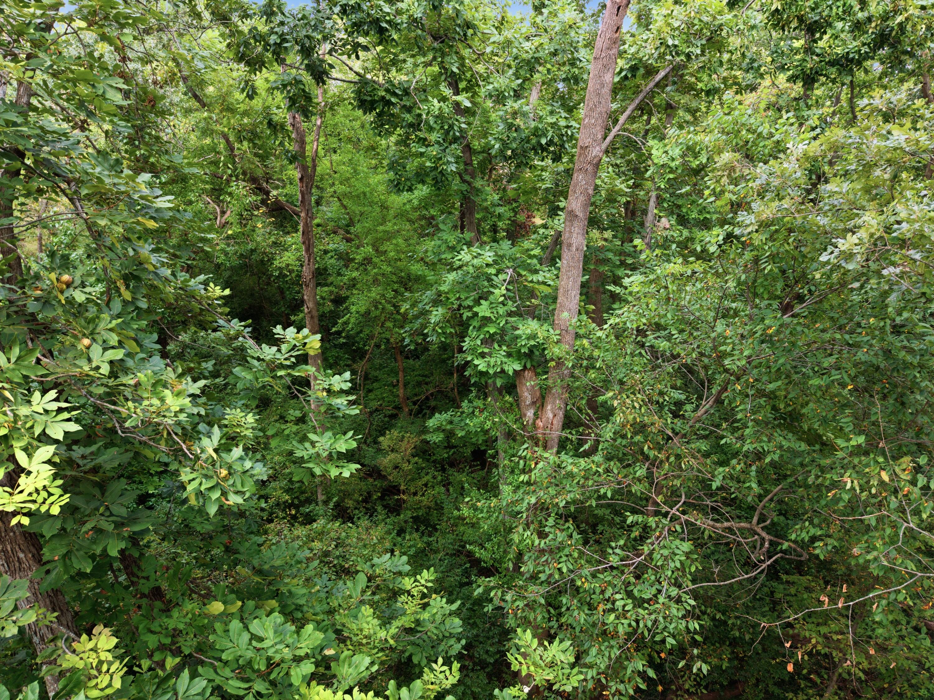 149 Mercer Avenue Property Photo 44