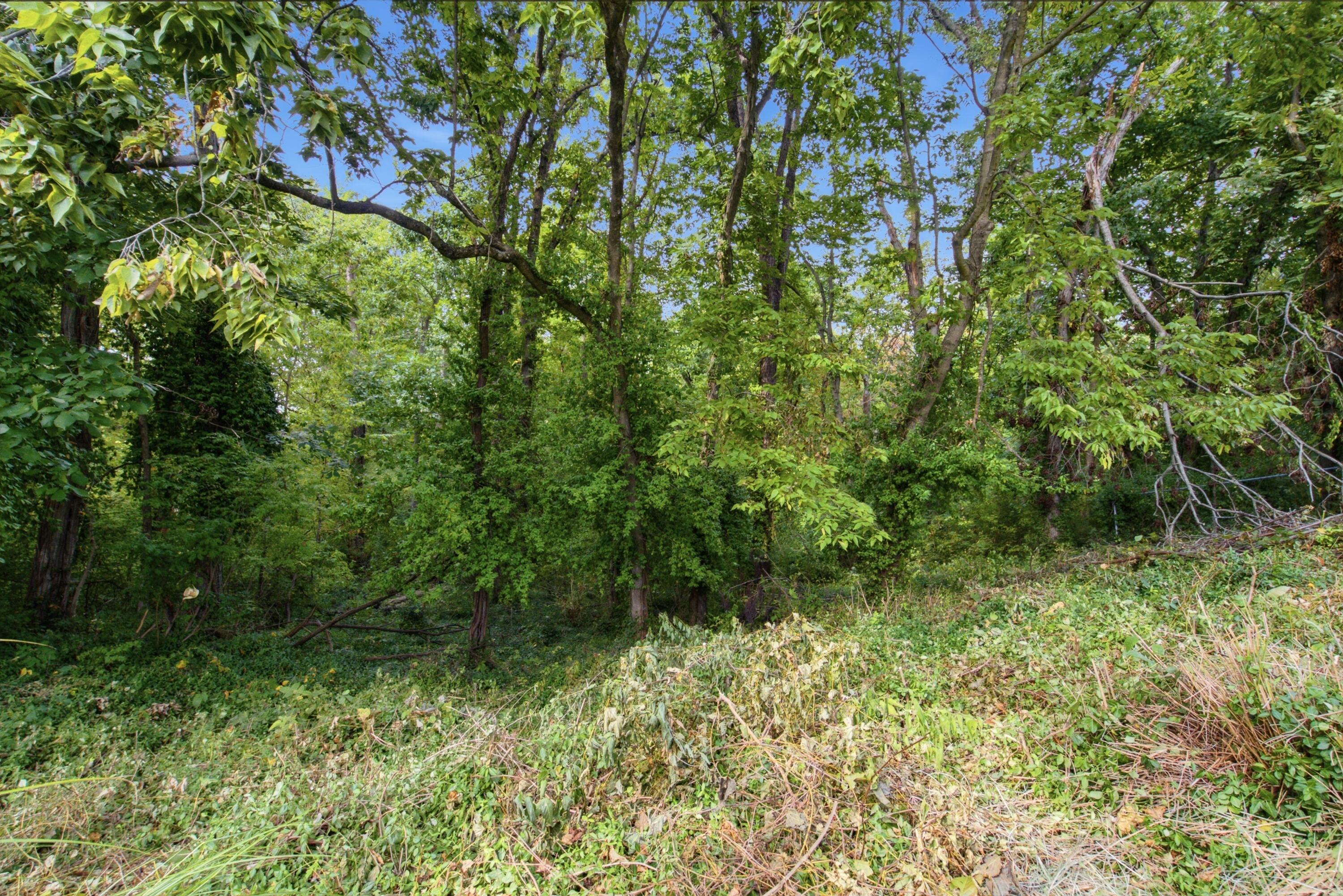 149 Mercer Avenue Property Photo 45