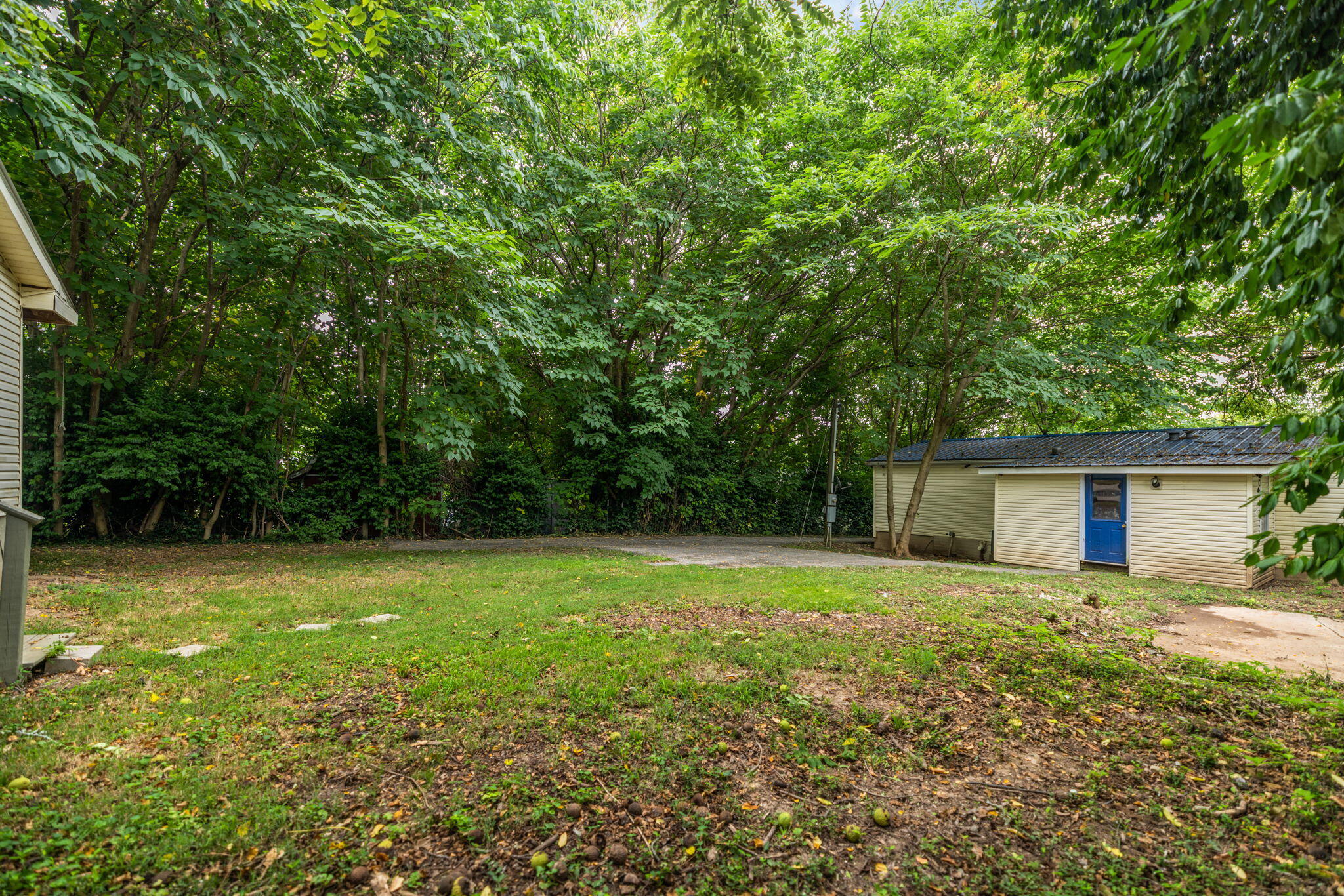 227 Jameson Street Property Photo 32