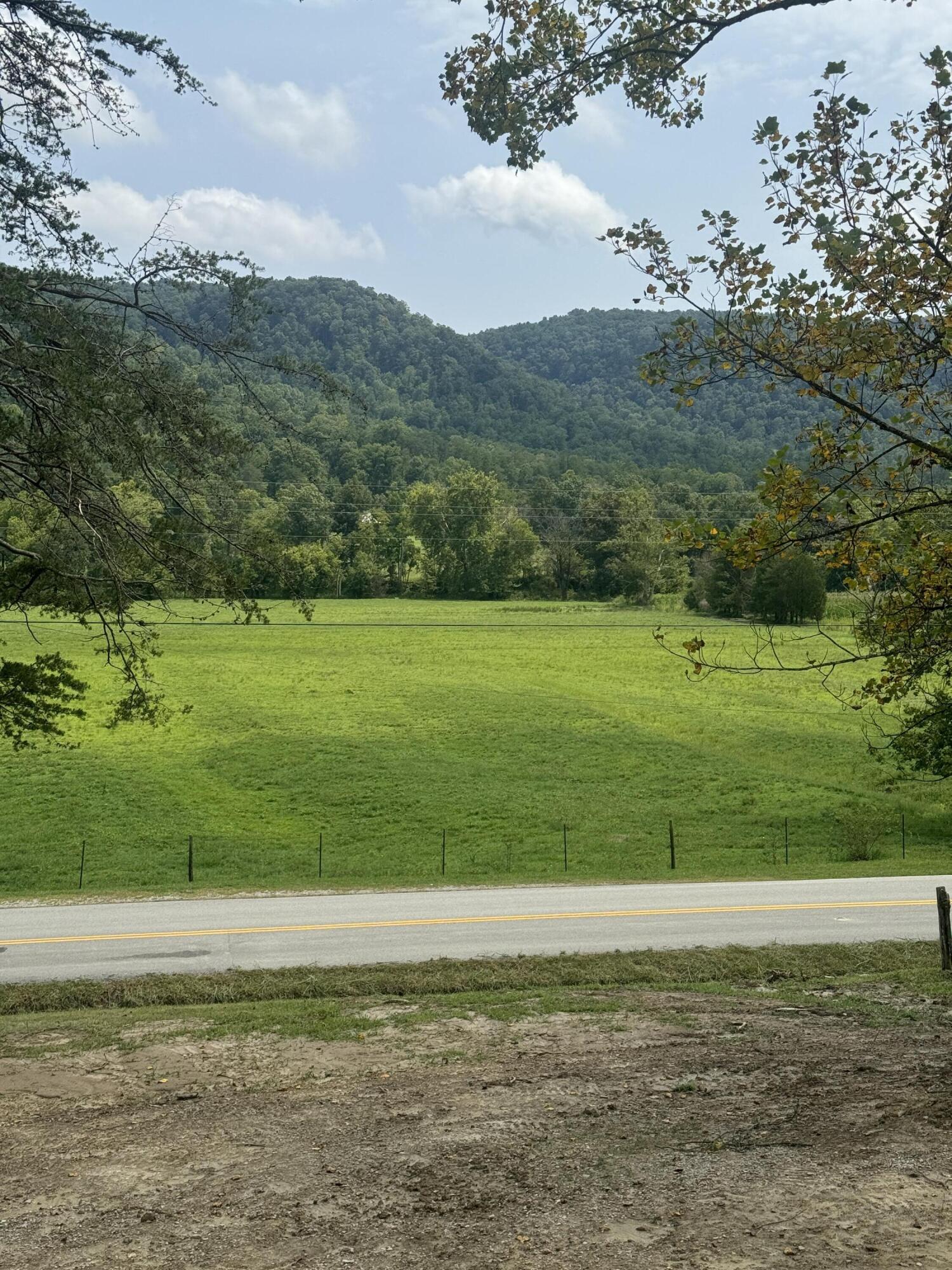 7070 Red Lick Road Property Photo 6