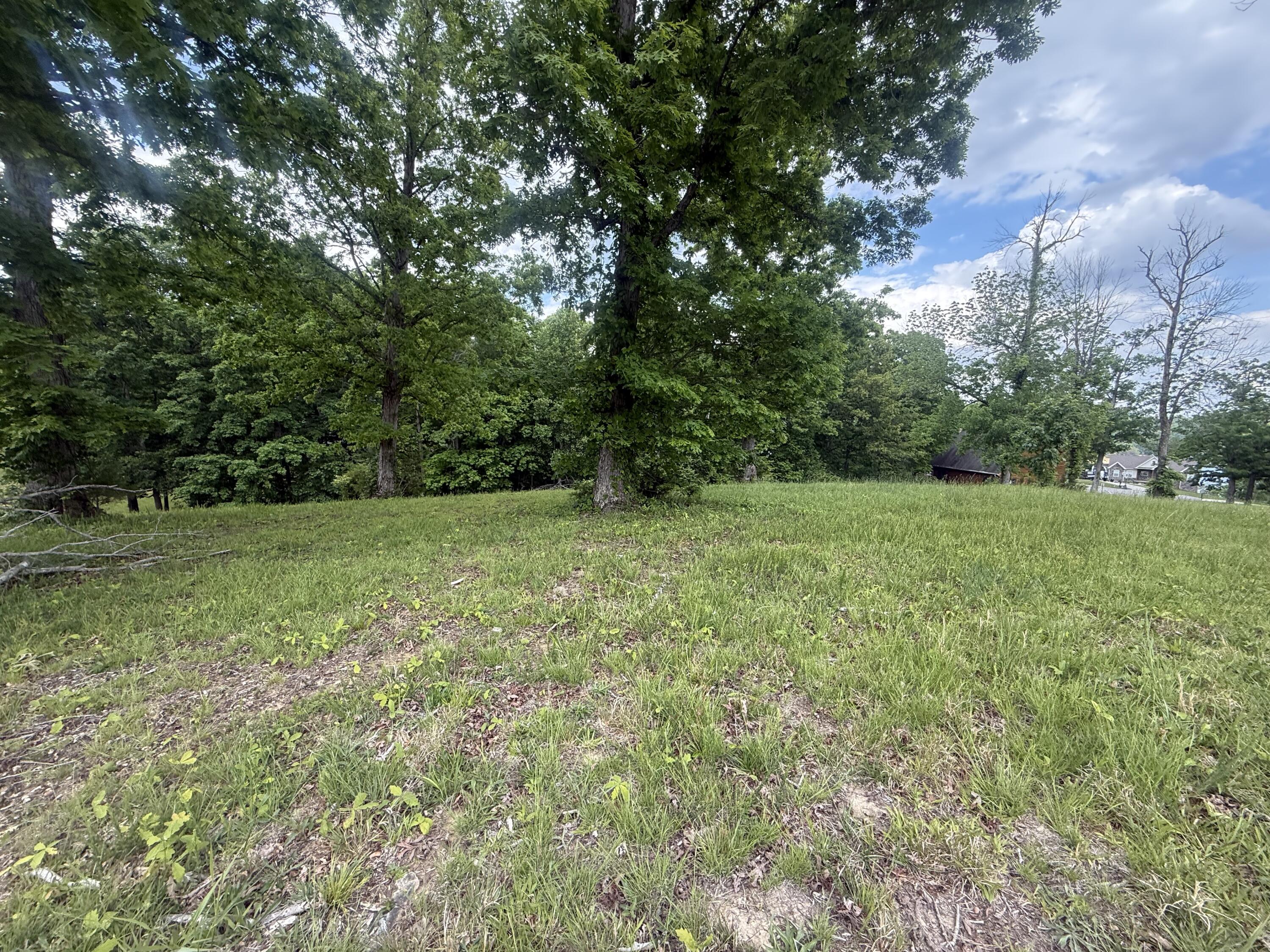 46 Red Maple Lane Property Photo 11