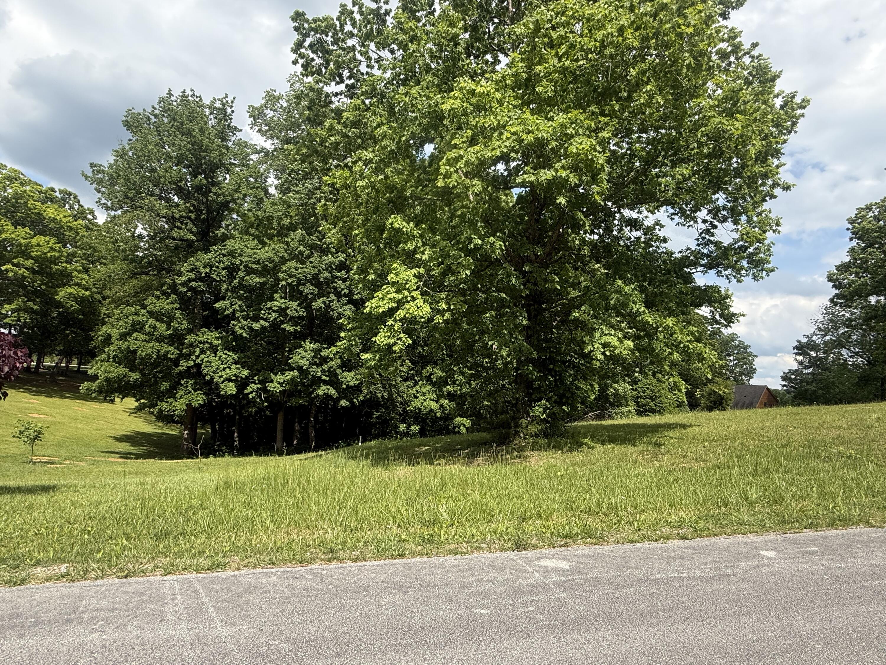 46 Red Maple Lane Property Photo 15