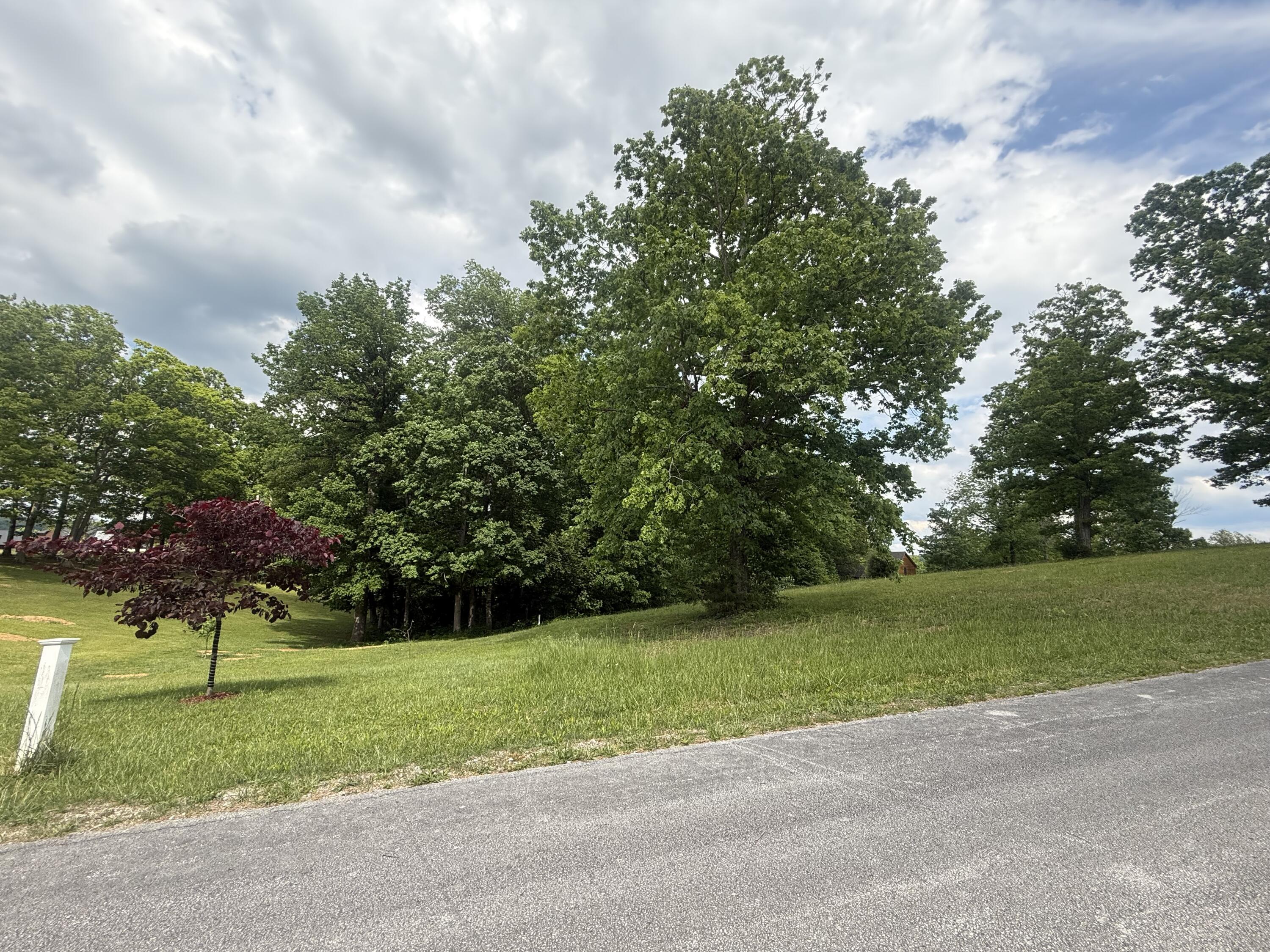 46 Red Maple Lane Property Photo 16