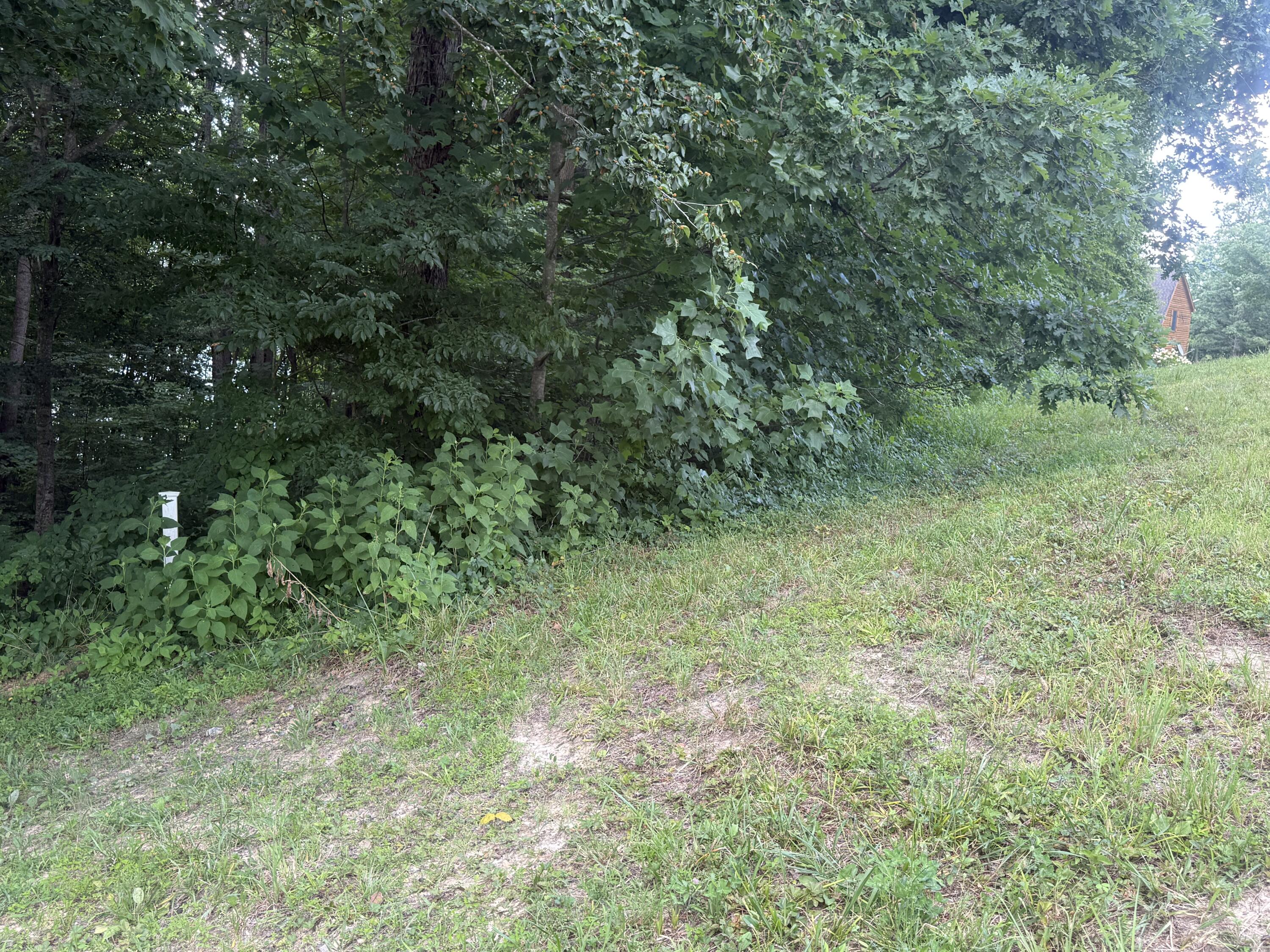 46 Red Maple Lane Property Photo 19