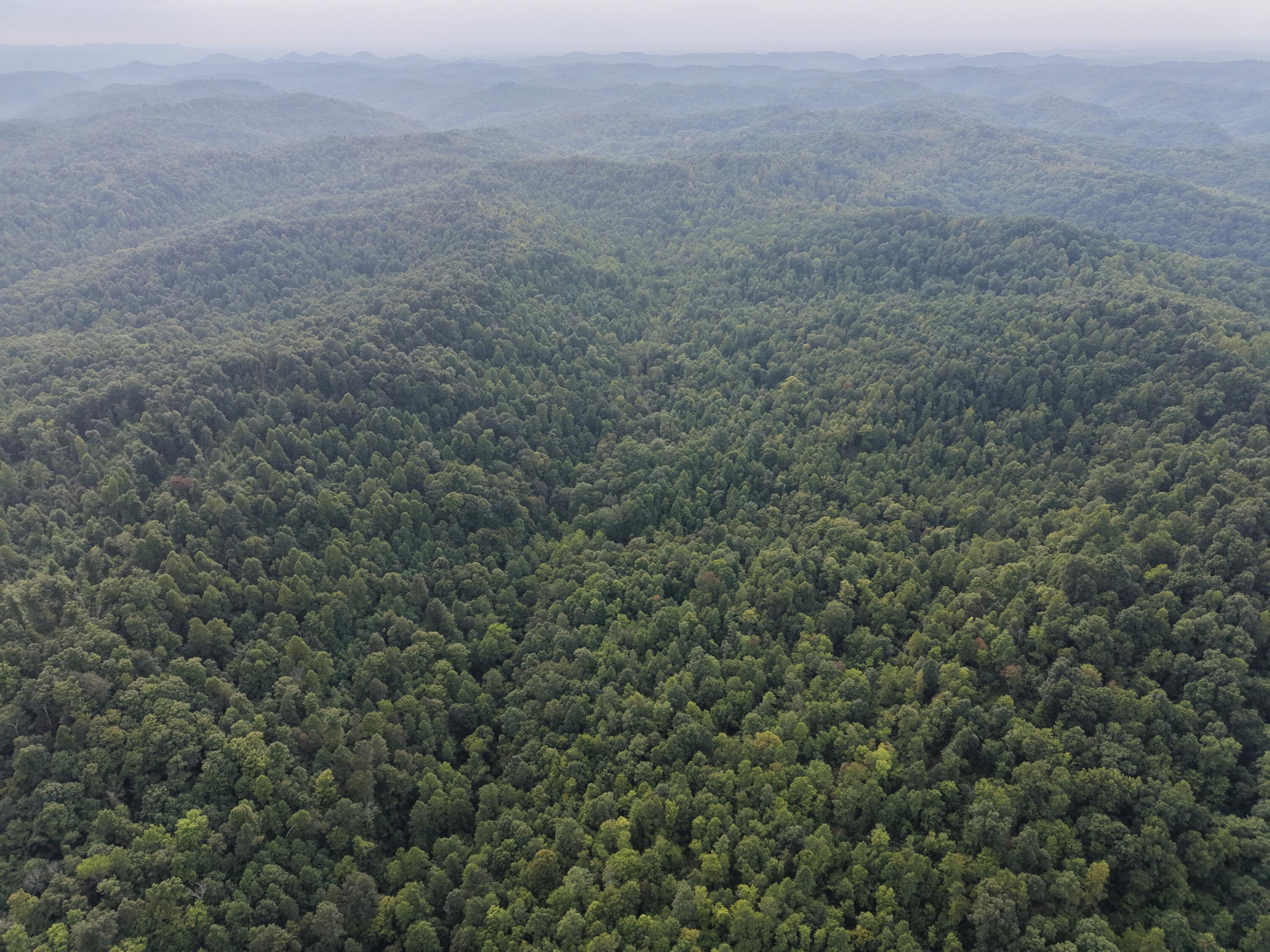 707 707 Shotgun Hollow Road Property Photo 4