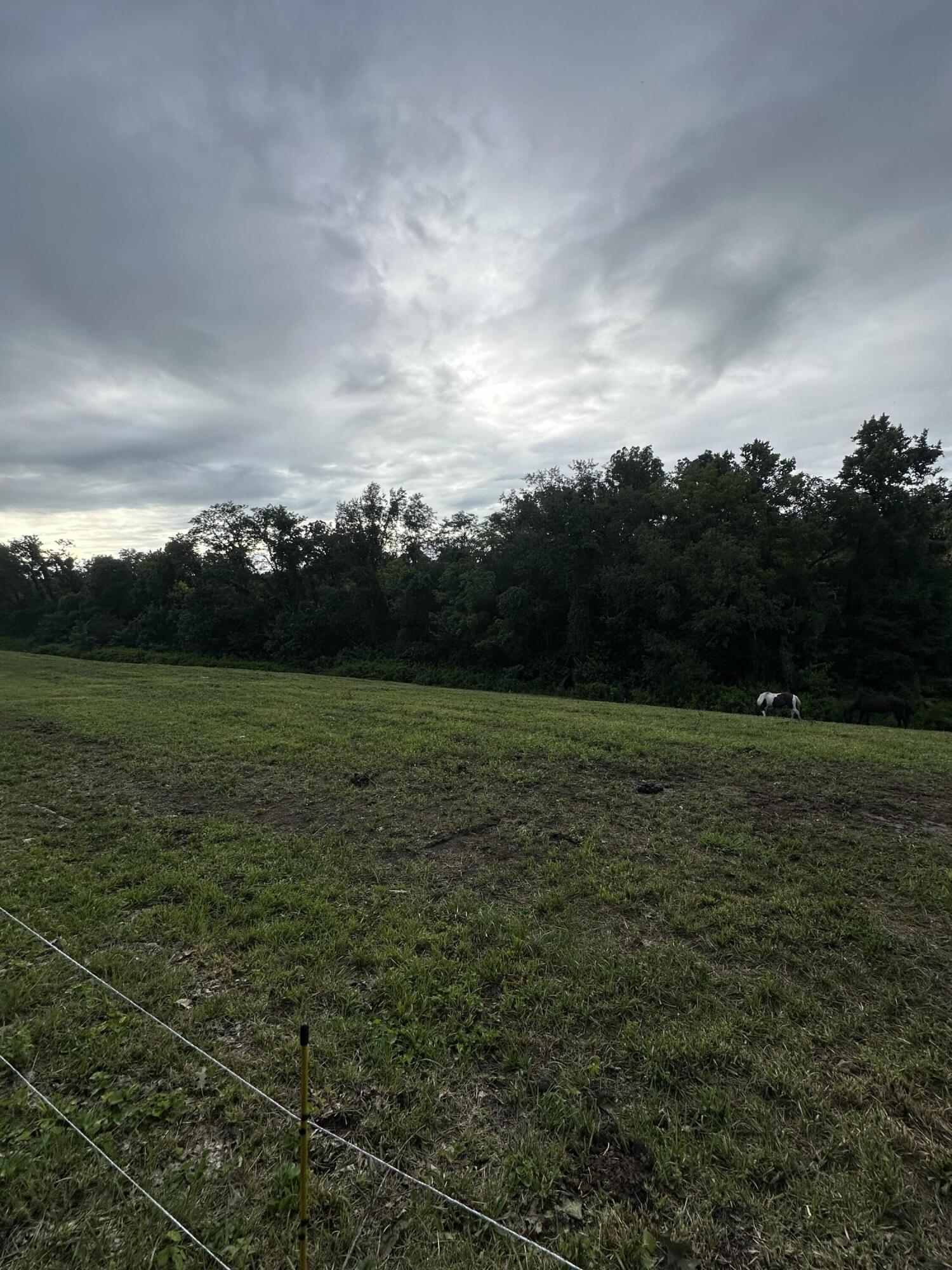 405 Nick Lane Property Photo 17