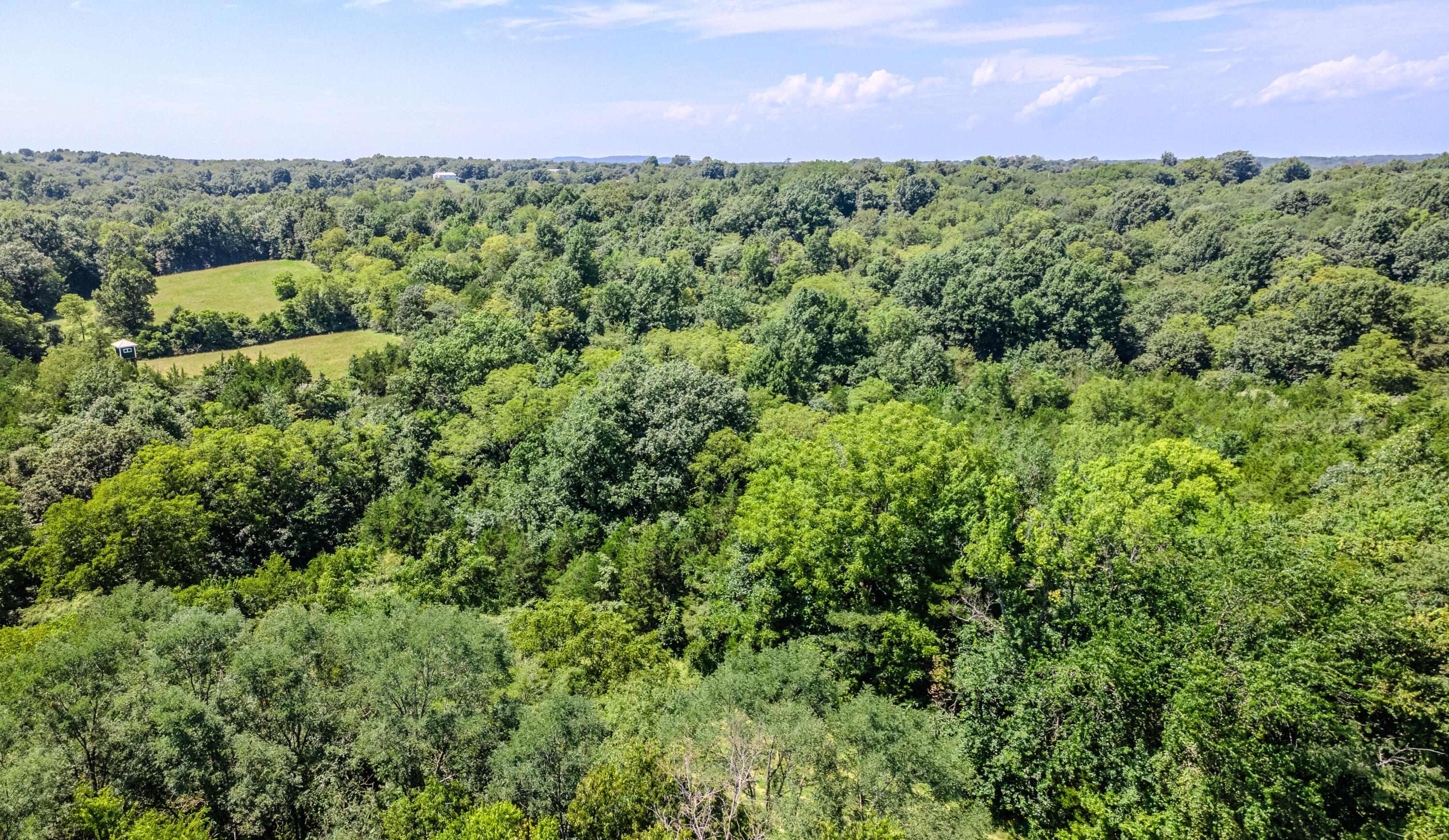 811 Hickory Ridge Road Property Photo 8