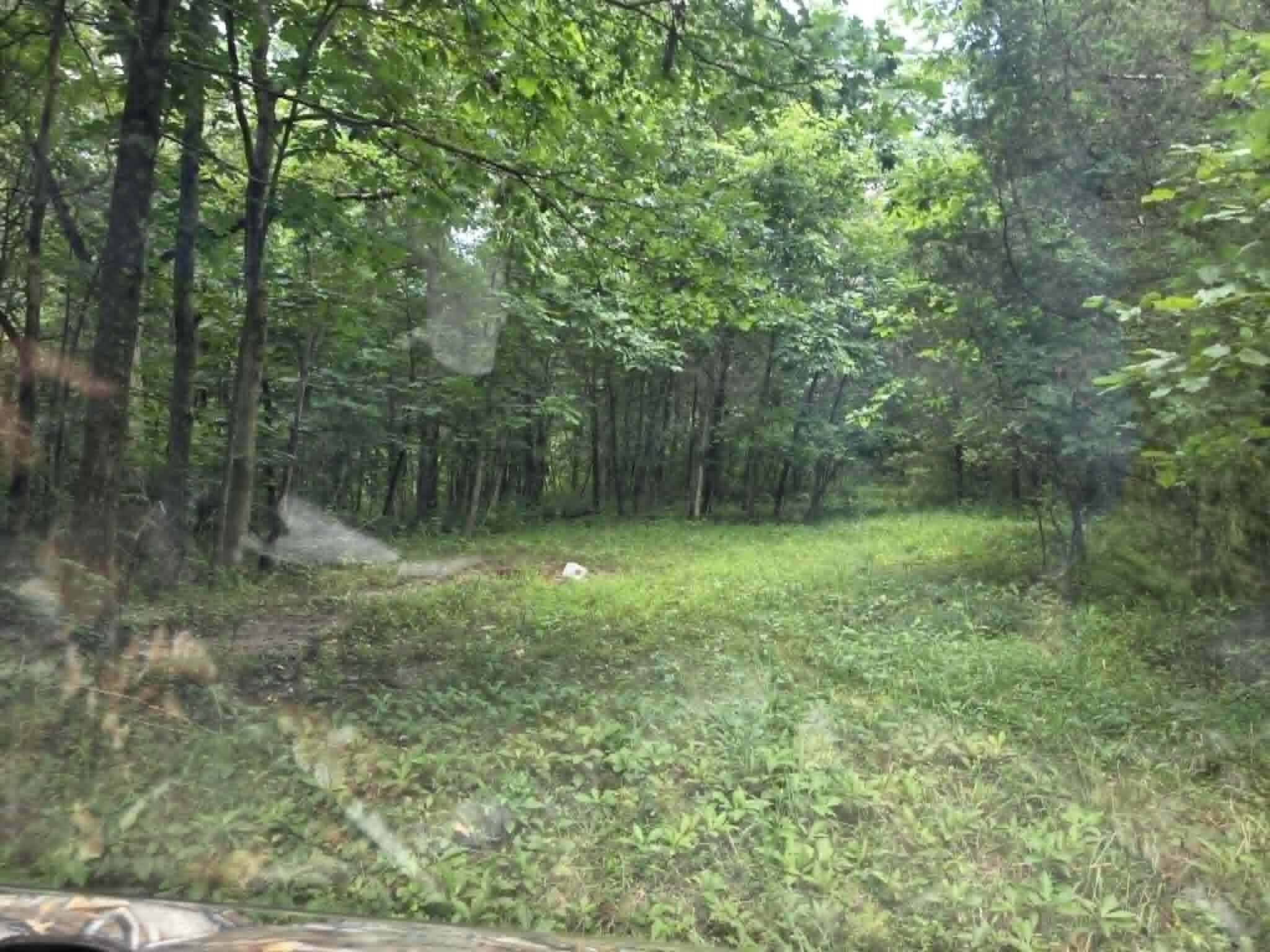 811 Hickory Ridge Road Property Photo 33