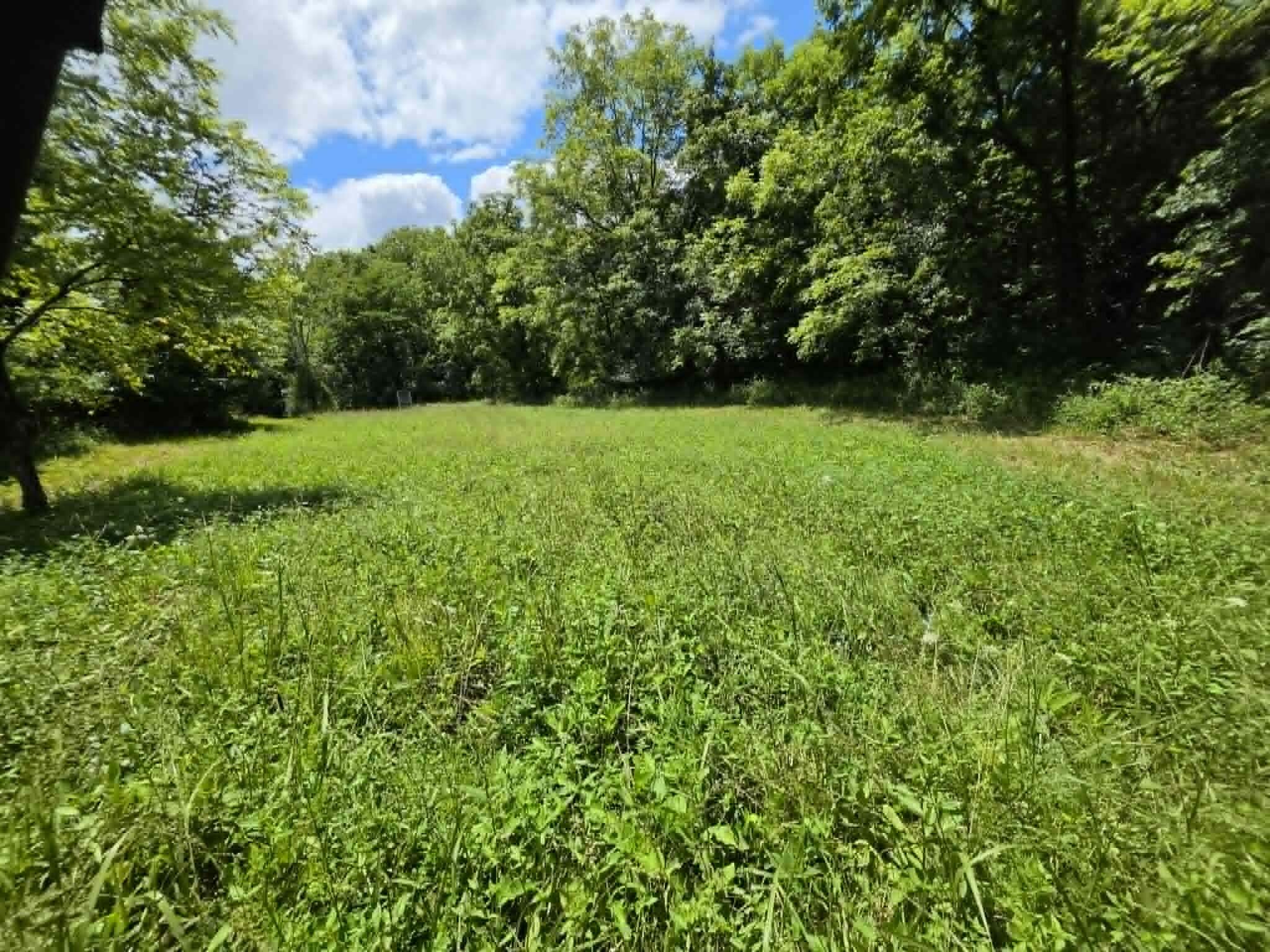 811 Hickory Ridge Road Property Photo 41