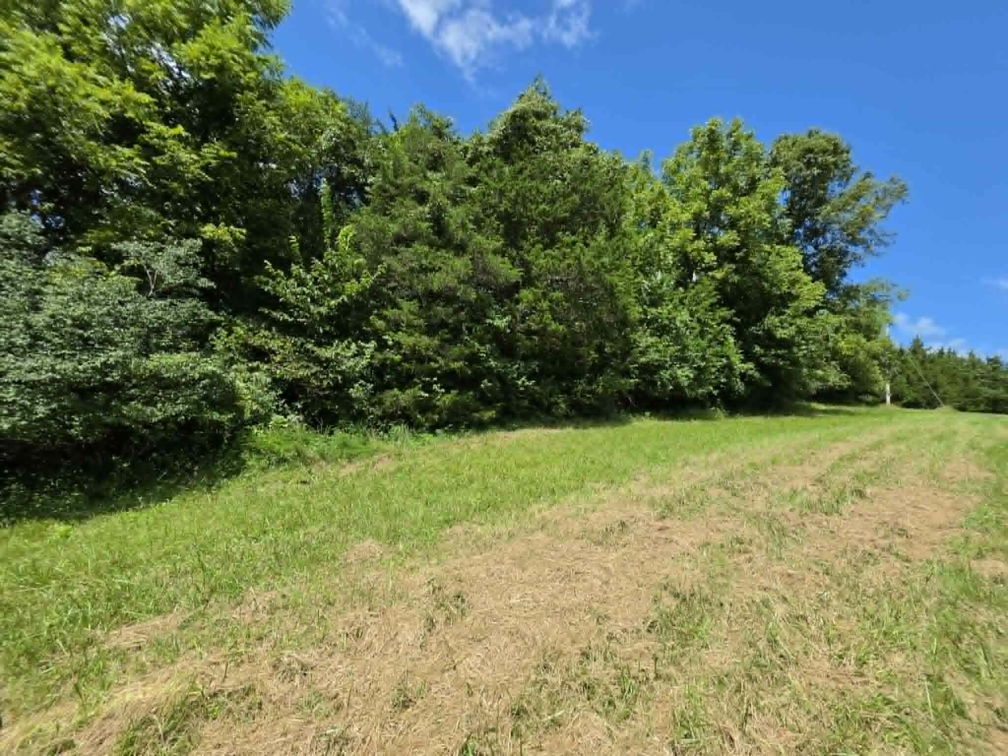 811 Hickory Ridge Road Property Photo 44