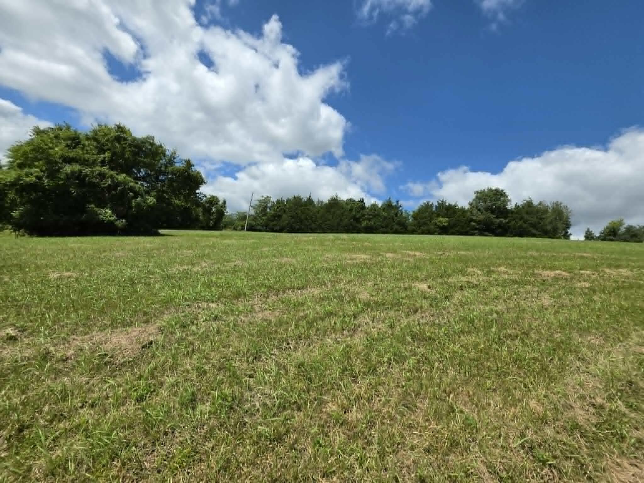 811 Hickory Ridge Road Property Photo 45