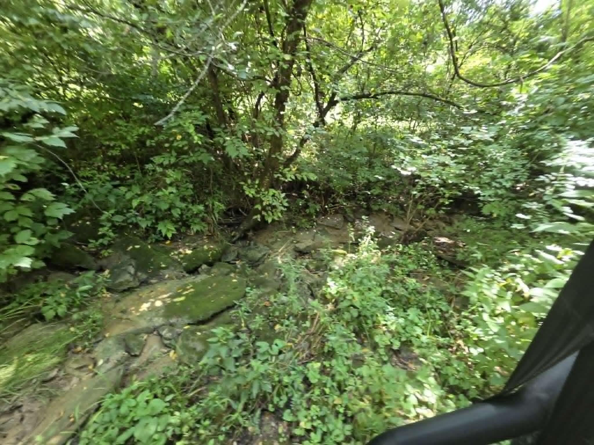 811 Hickory Ridge Road Property Photo 47