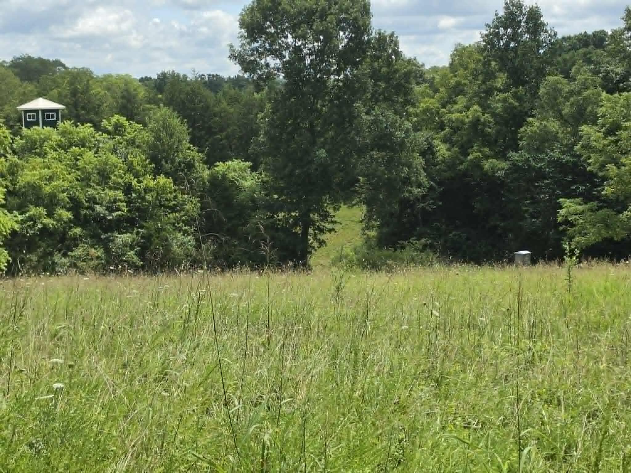 811 Hickory Ridge Road Property Photo 53