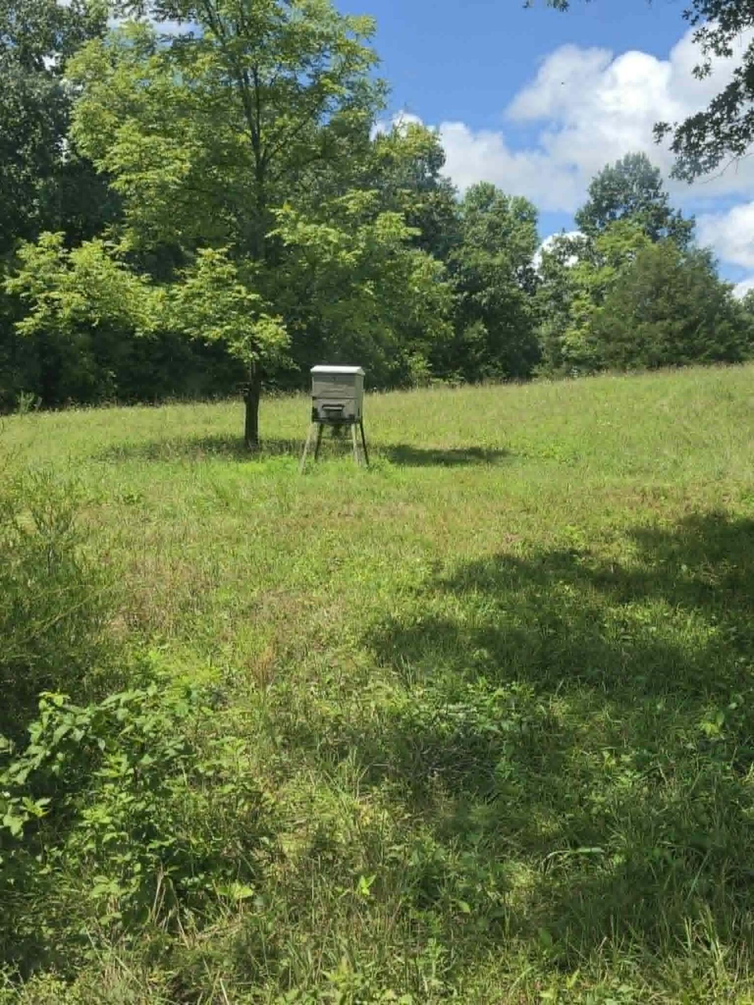 811 Hickory Ridge Road Property Photo 55